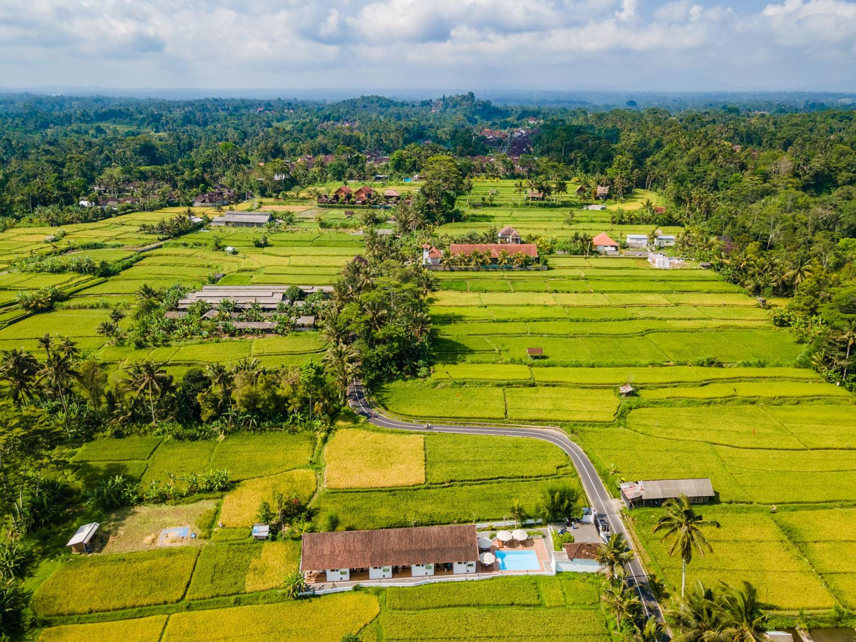 Aura Apartments Ubud