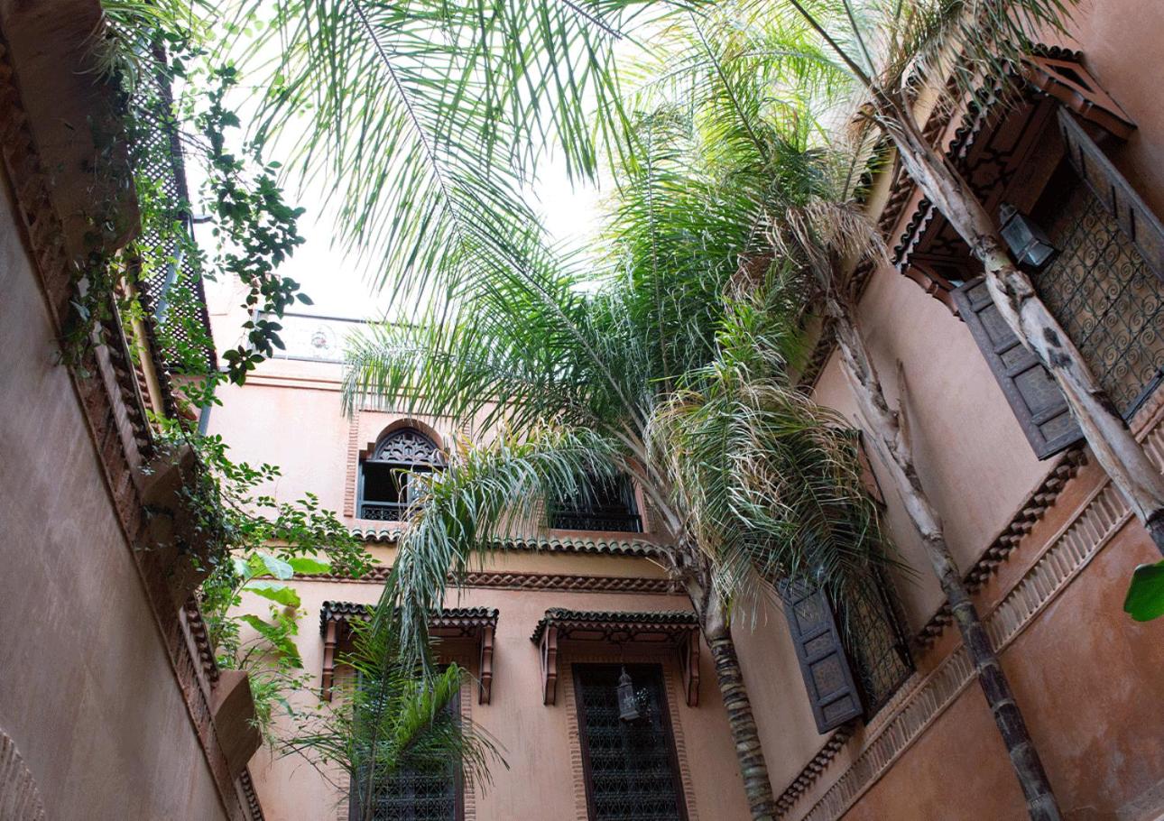 Riad Amirat Al Jamal view 2
