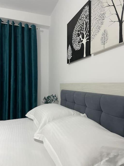 Skyline Apartment Berat Albania