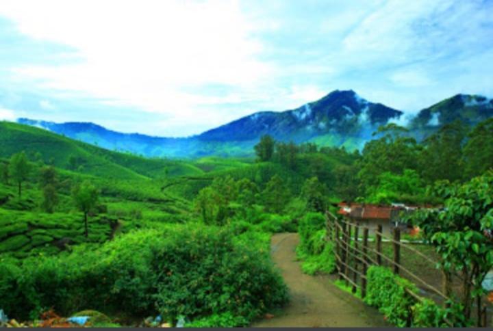 Haw Thrown Homestay view 2