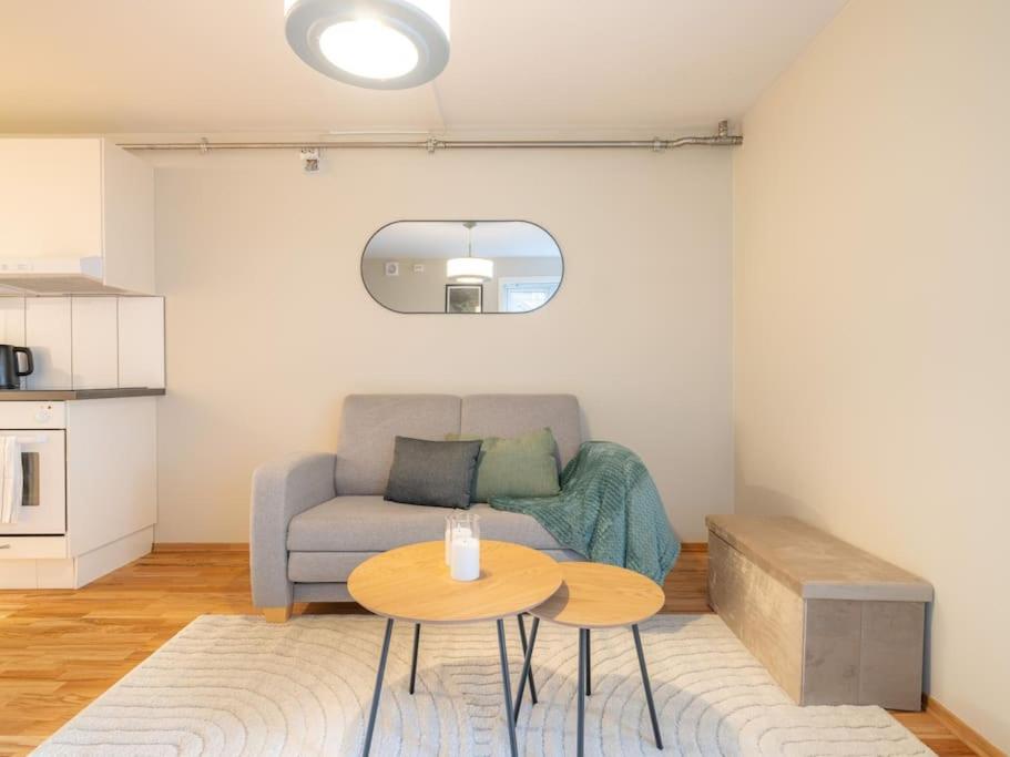 Newly refurbed studio! view 5