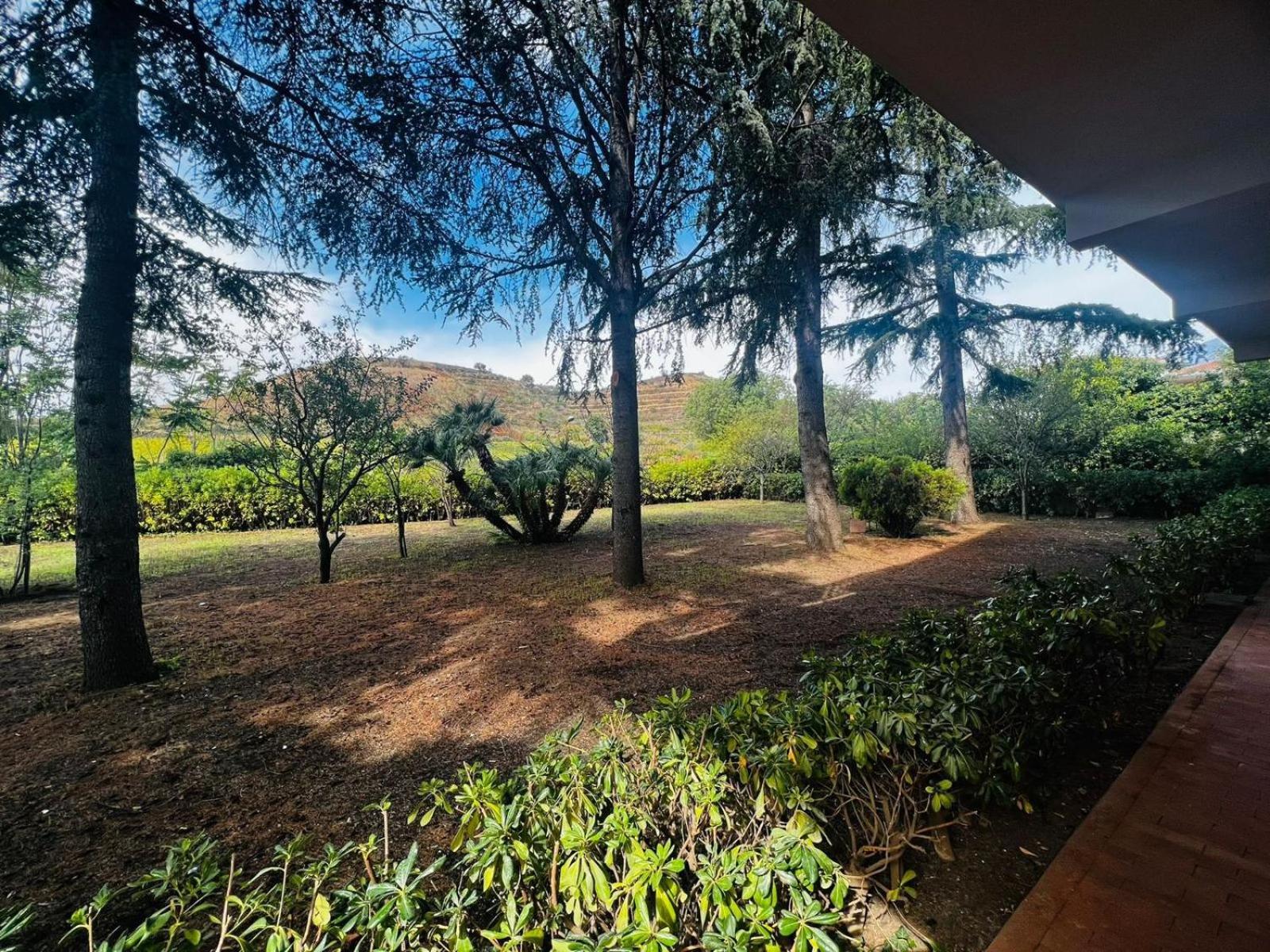 Sicily in Love - Rooms and Apartment - Pedara Catania Etna view 5