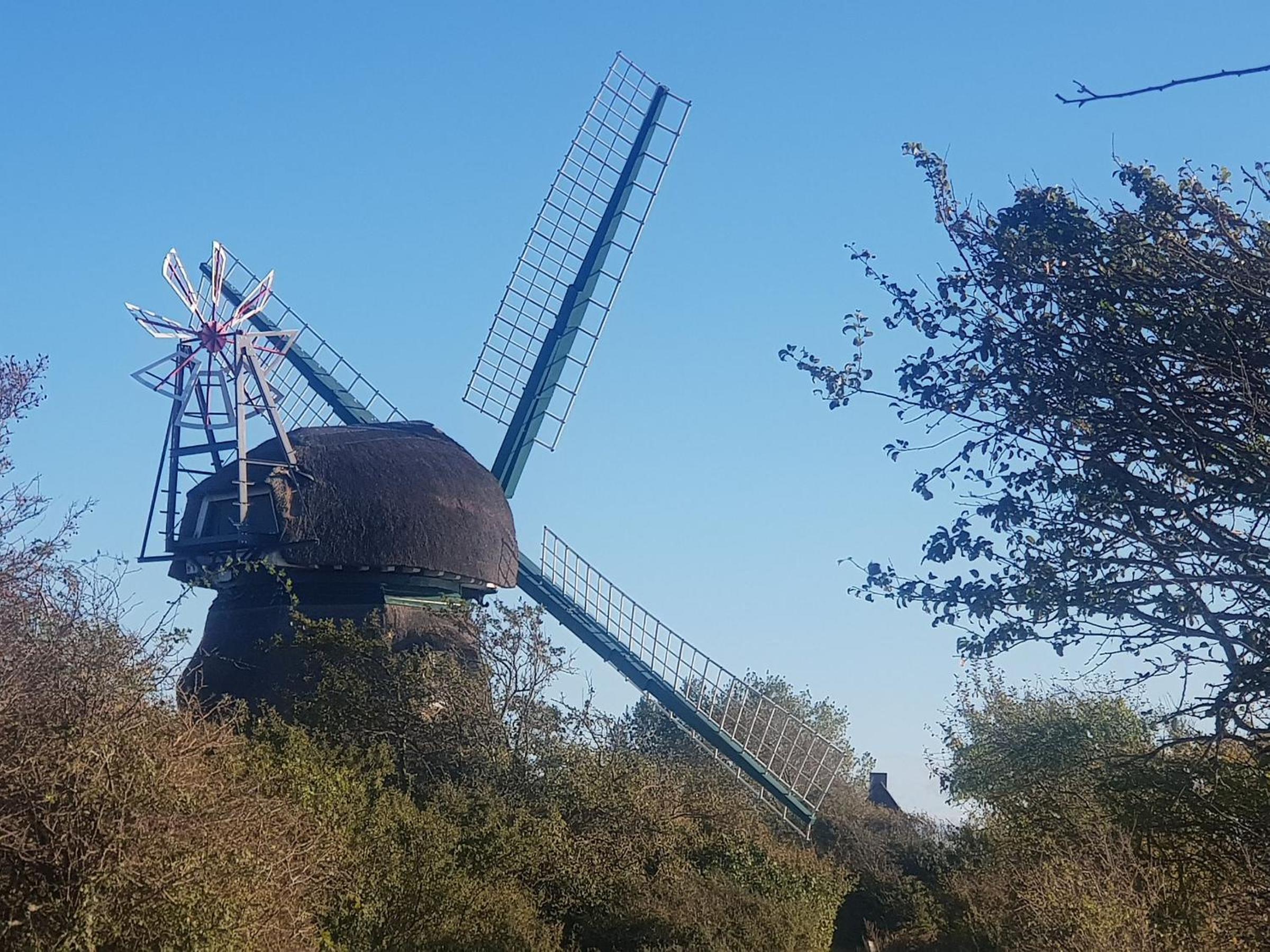 Fischerstern