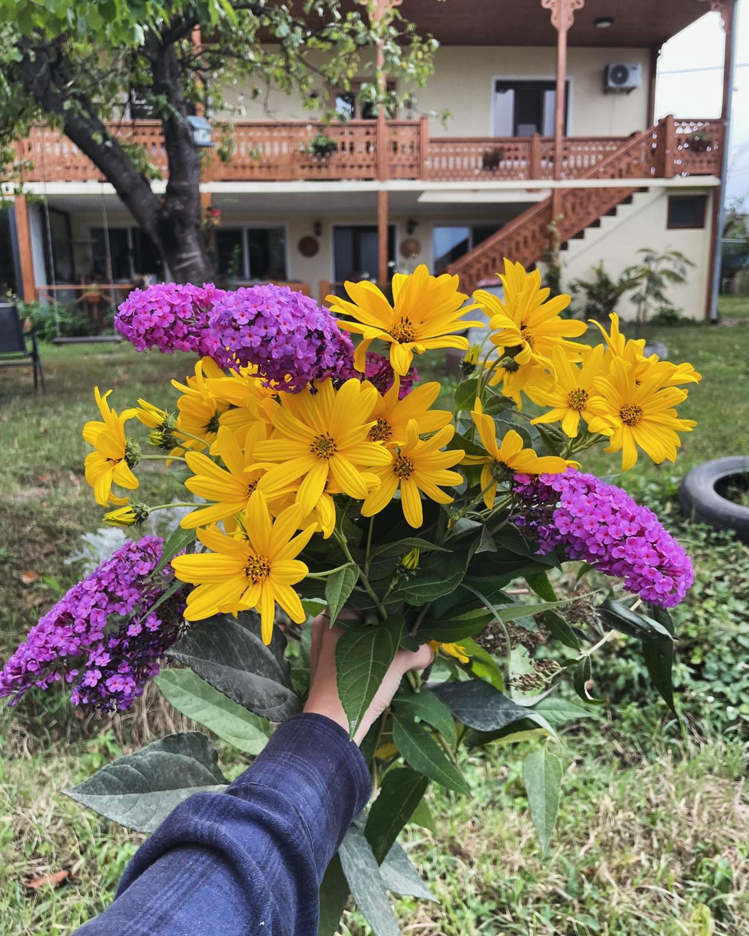 Friendly Home