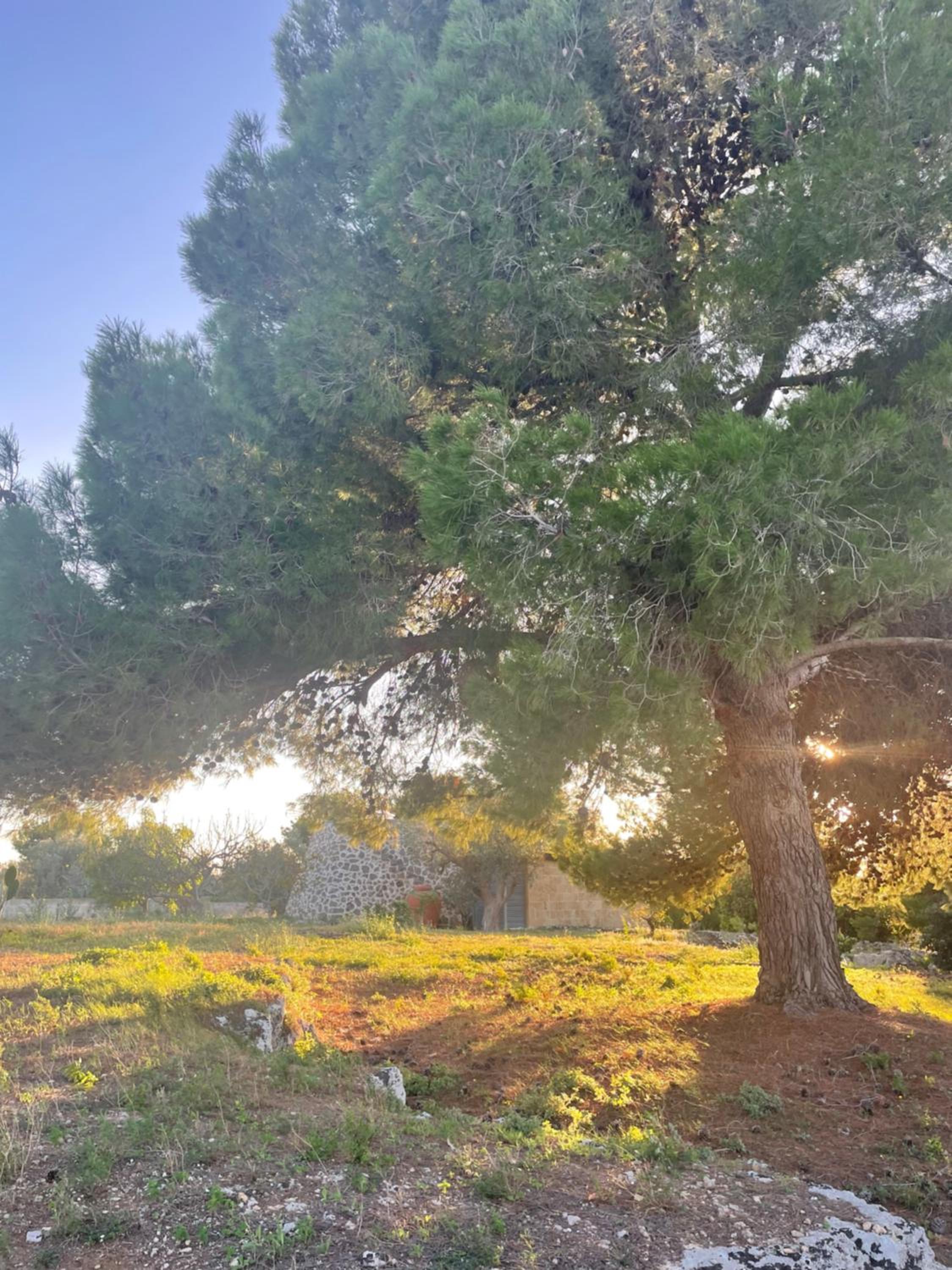 Trullo Nonno Nino view 4