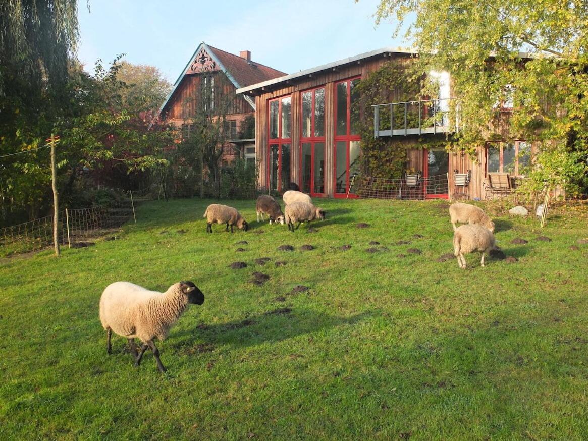 Atelierwohnung Hof Kranichmoor