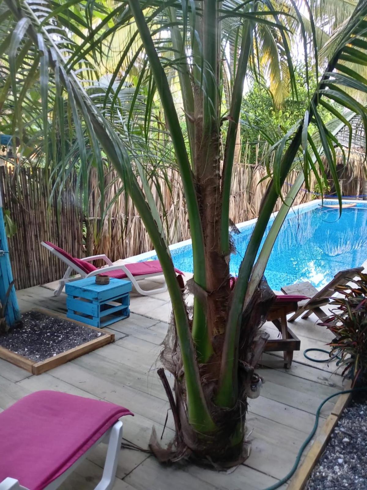 Photo 48