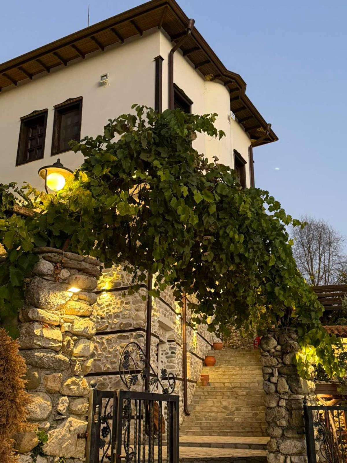 Villa Melnik SPA Residence with Hot Pool by BookVillaBG