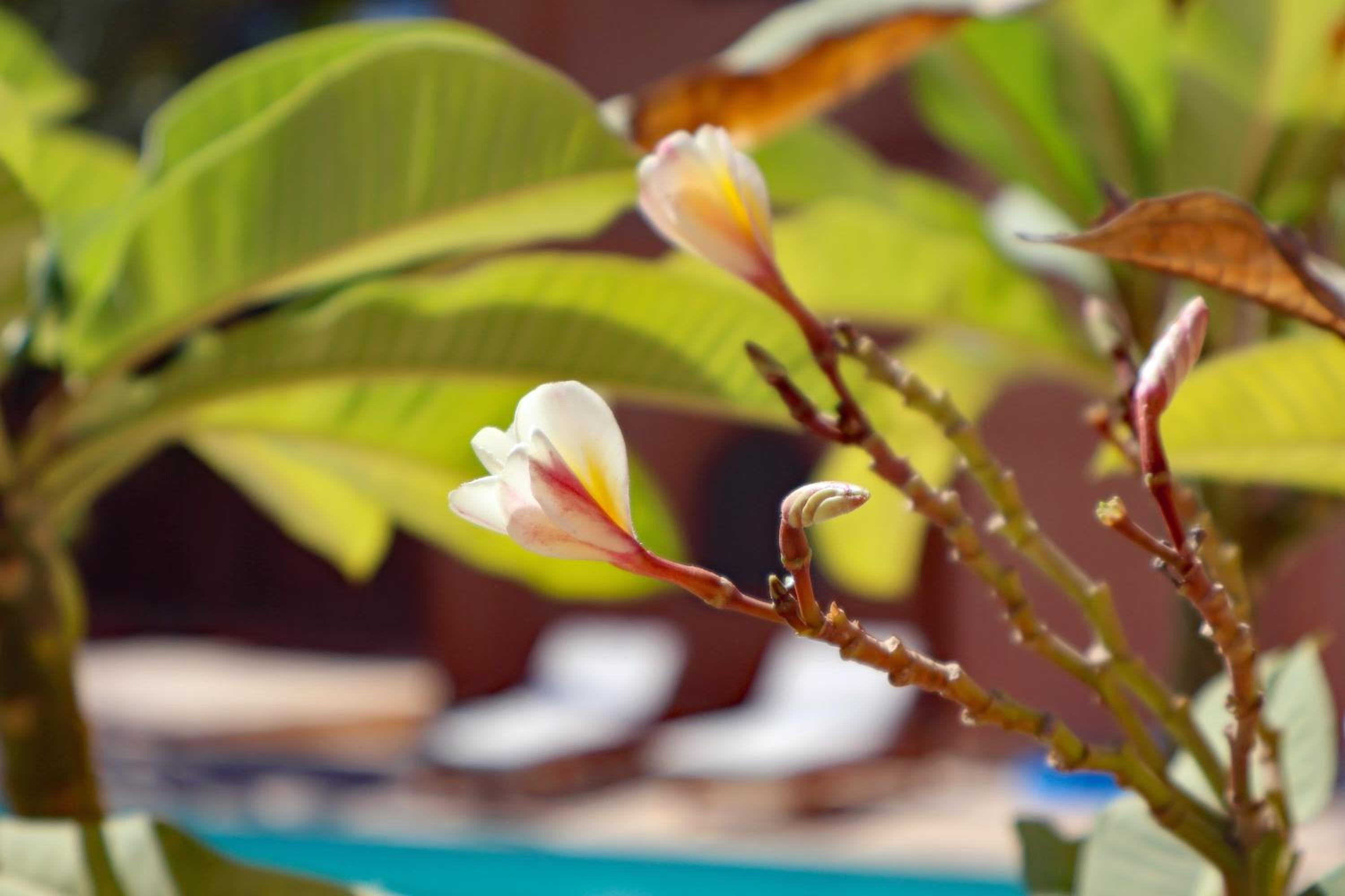 Malkata House - Boutique hotel and restaurant, photo 80