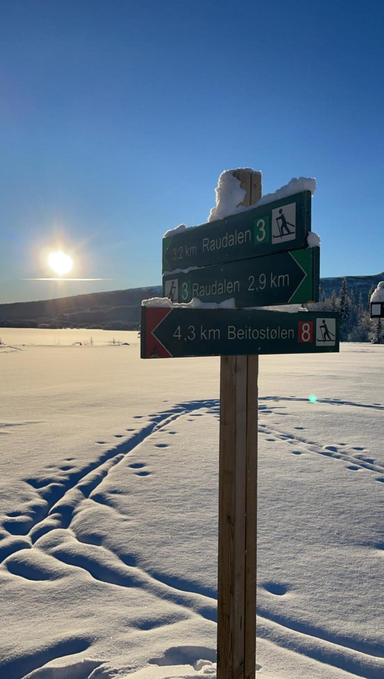 Cozy 3-Bedroom Apartment Near Beitostølen Ski