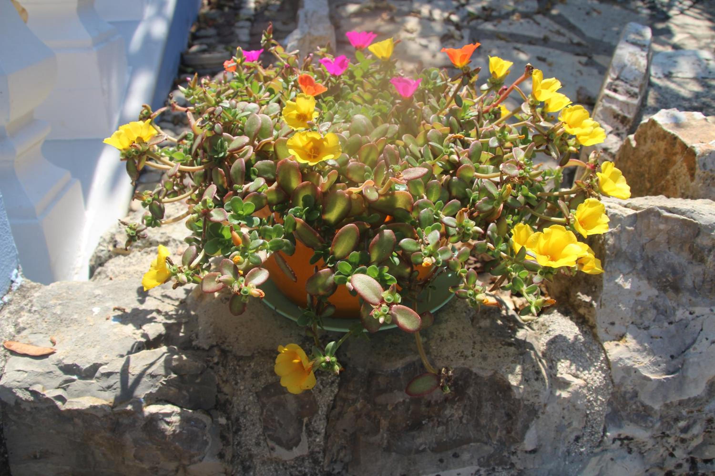 Photo 25