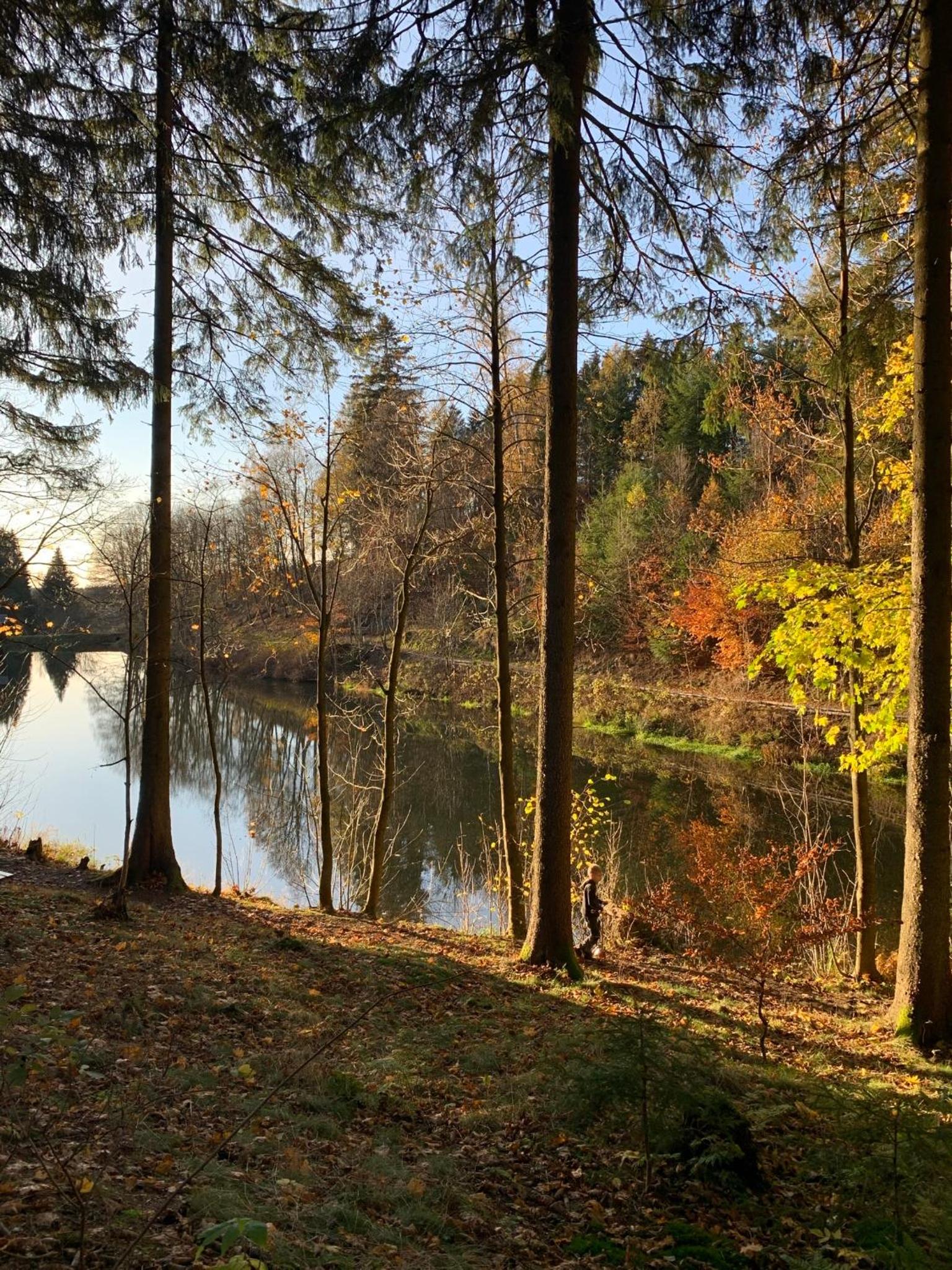 Wunderschönes Ferienhaus für Familien im Harz in historischer Stadtvilla im Herzen Zellerfelds