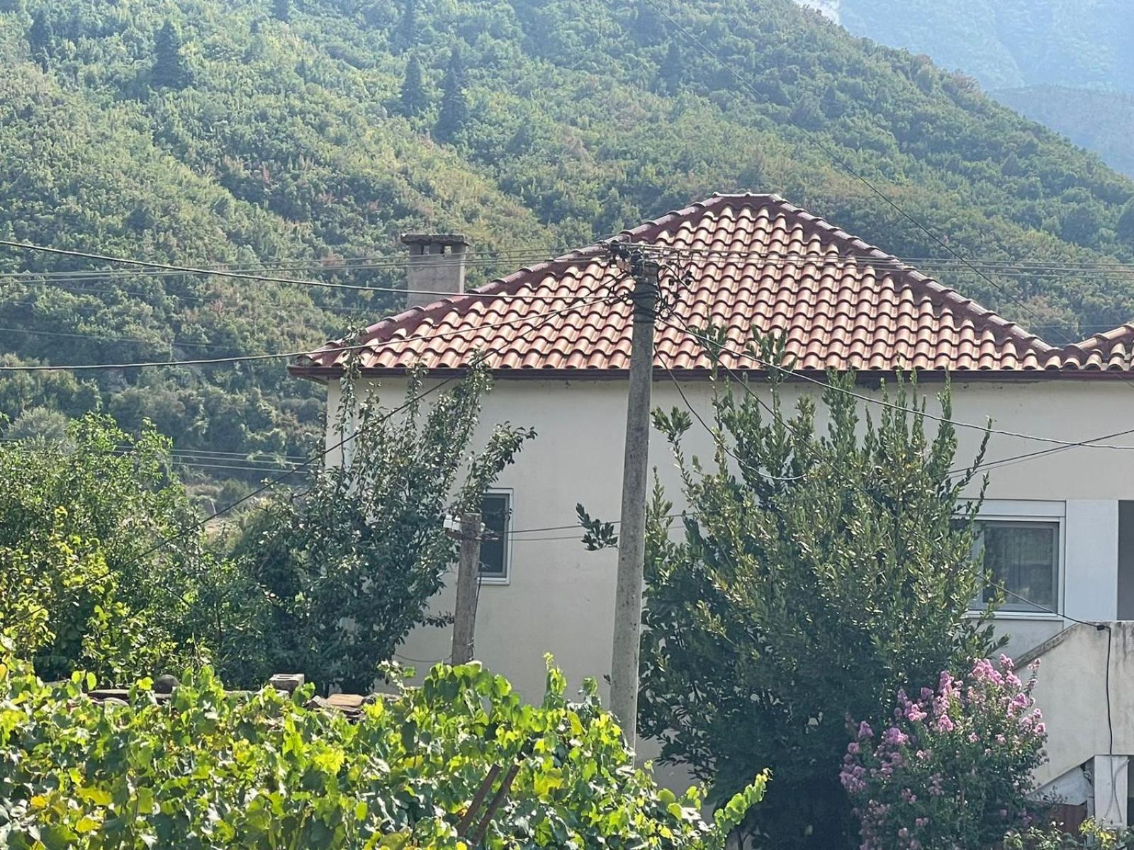 Vacation Home Kondi Ilia