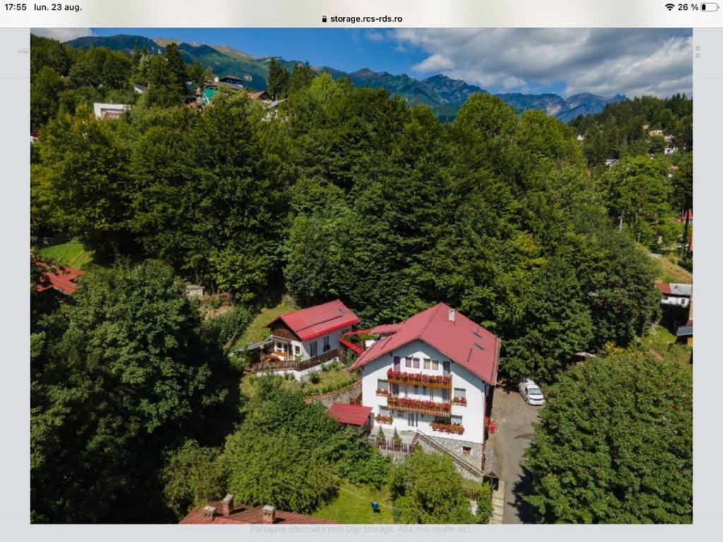 Vila Thomas view 3