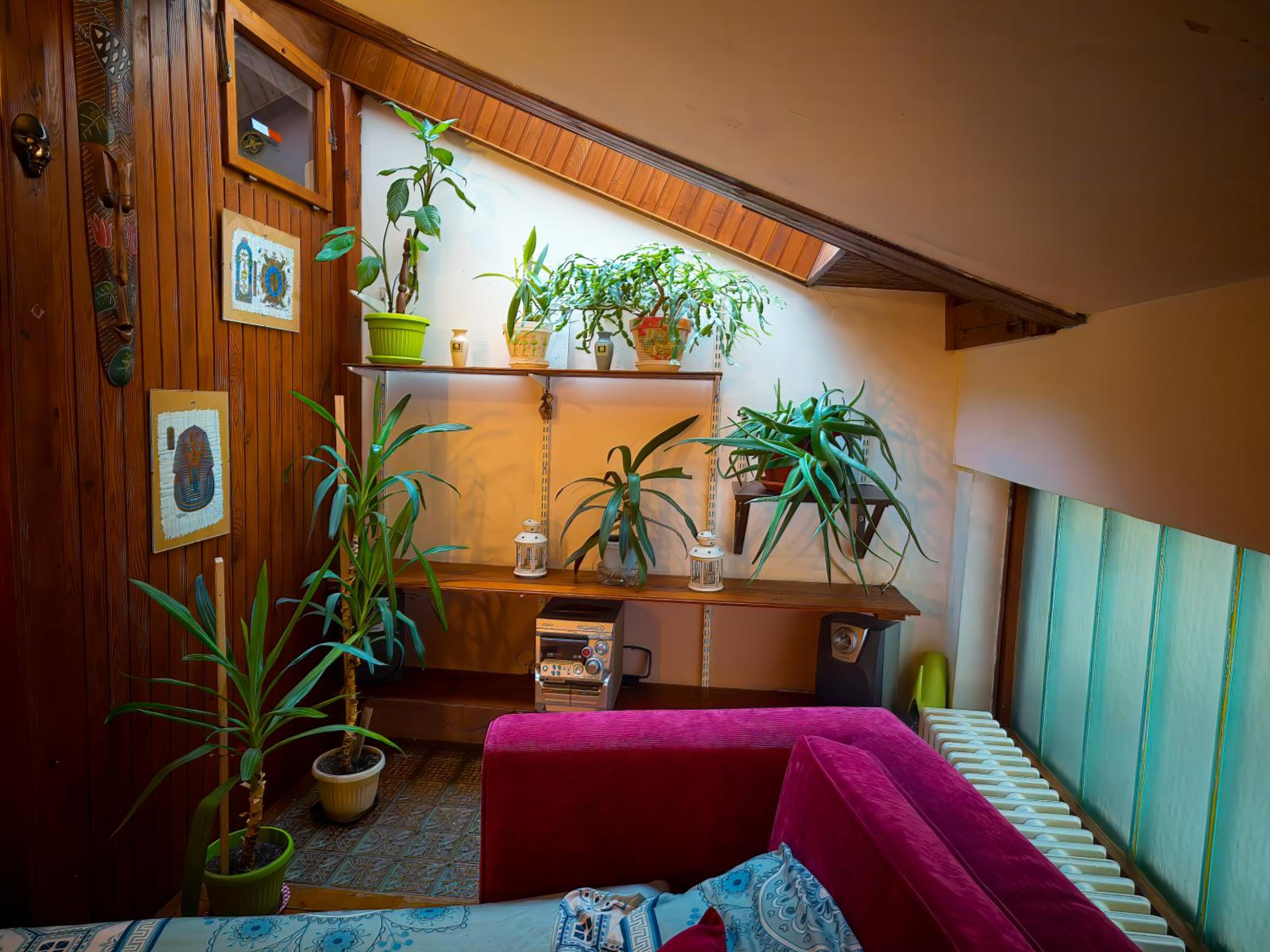 Vintage House on Sava Temple Street view 5