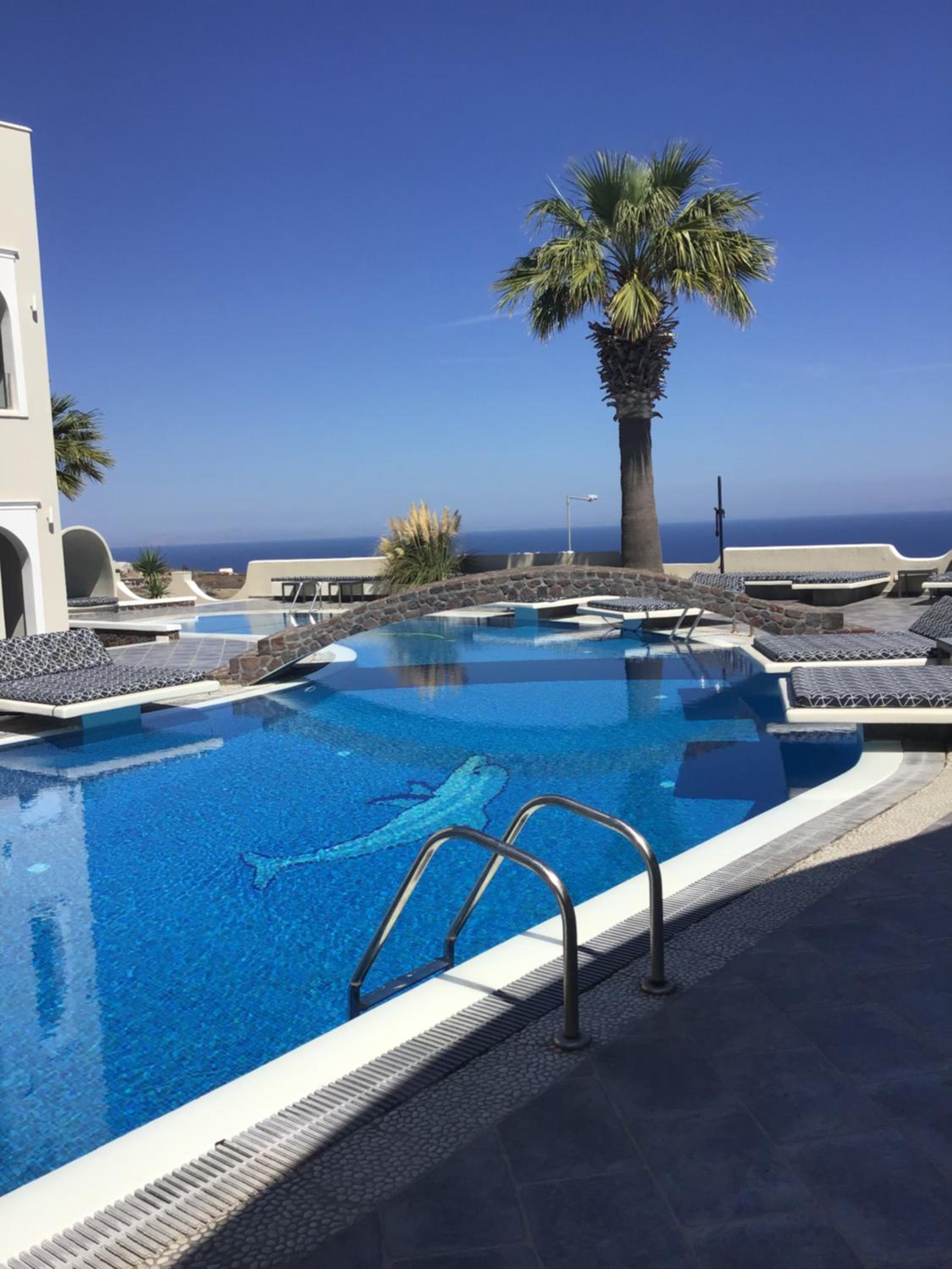 Blue Suites