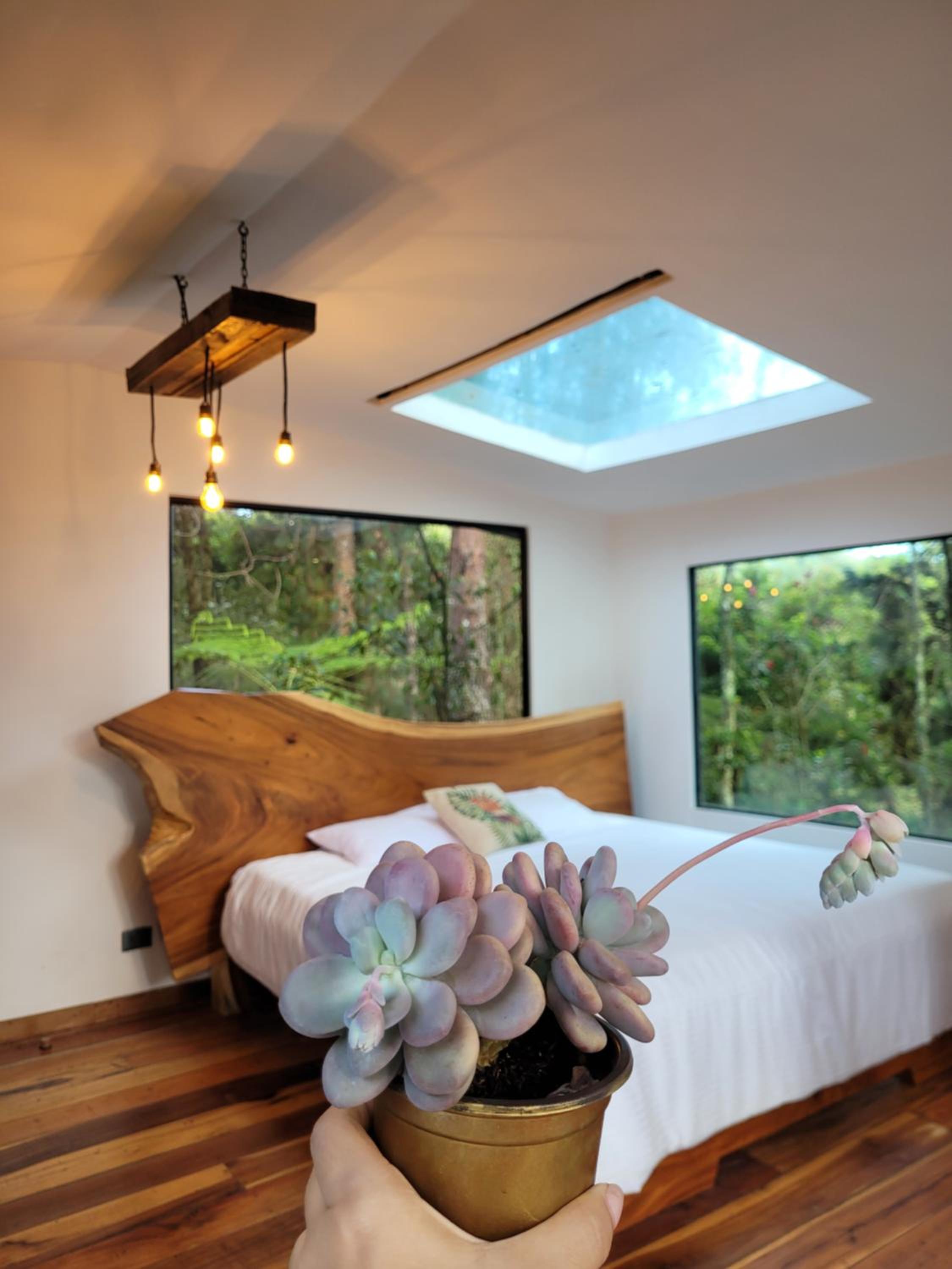 Cabaña Aventurina- La pascana Ecolodge Entorno natural excepcional, conexión con la naturaleza y avistamiento de aves, Ubicado a 3km del metrocable y Parqu