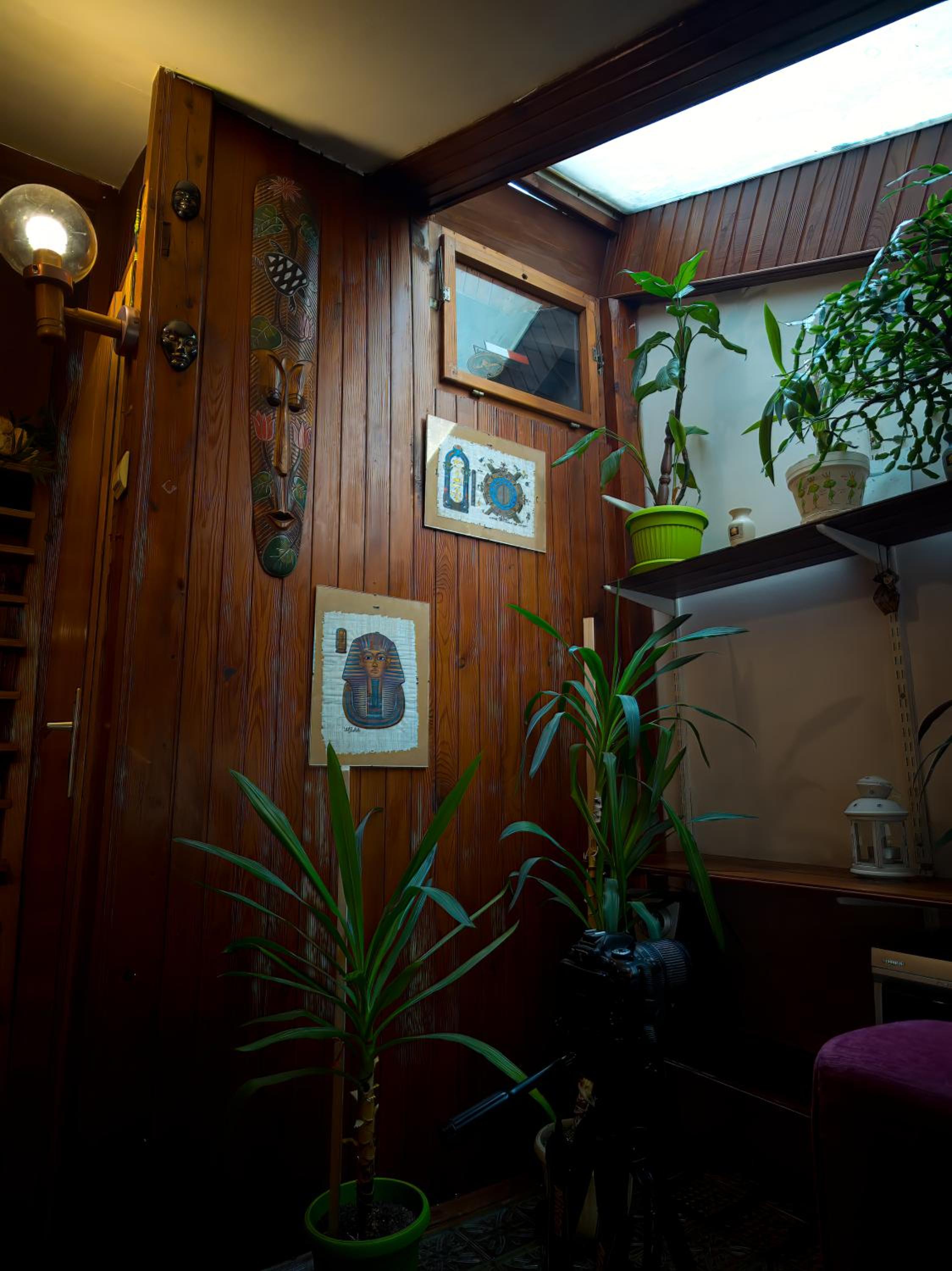 Photo 7
