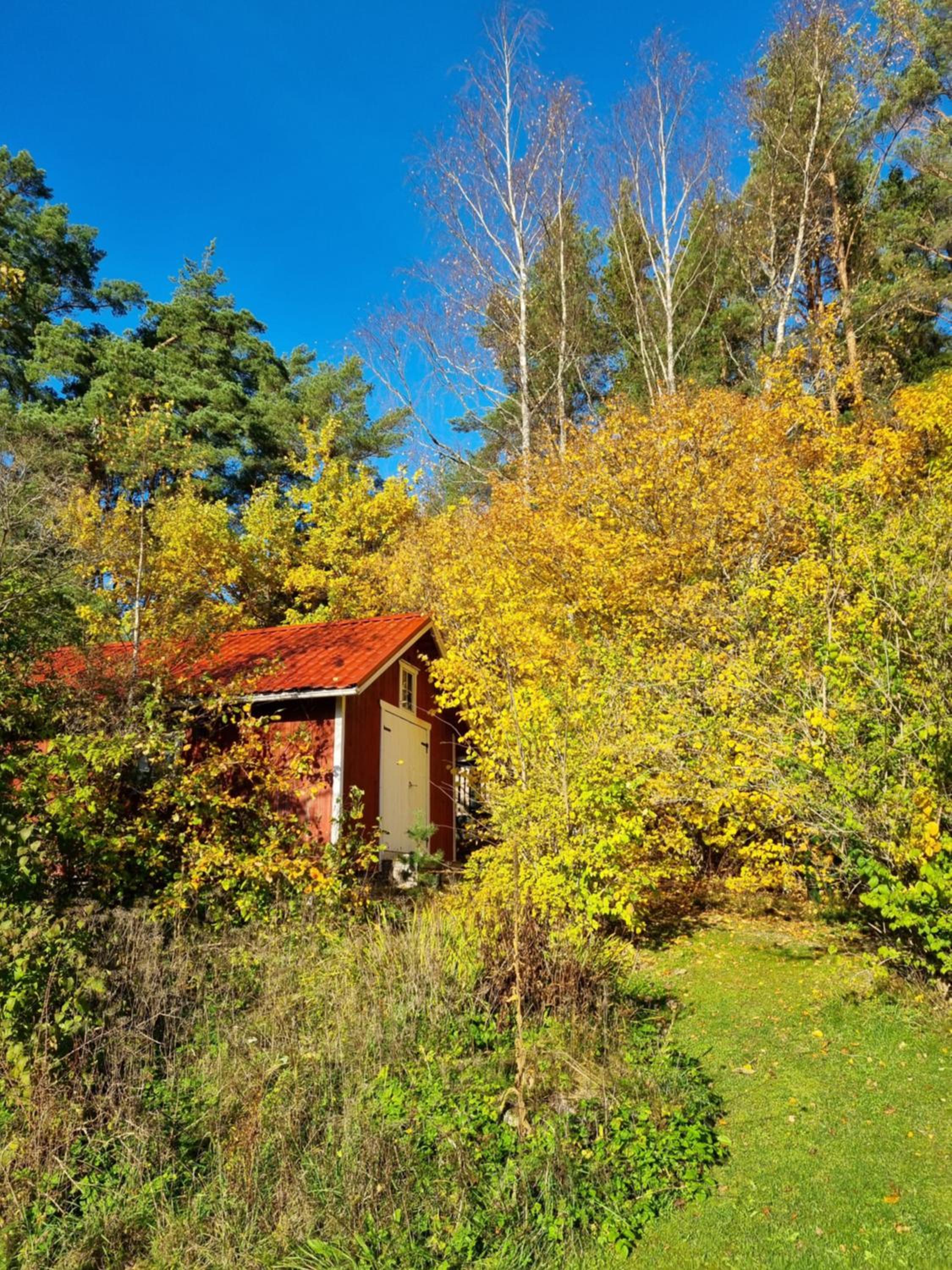 Villa and cottage by the sea view 5