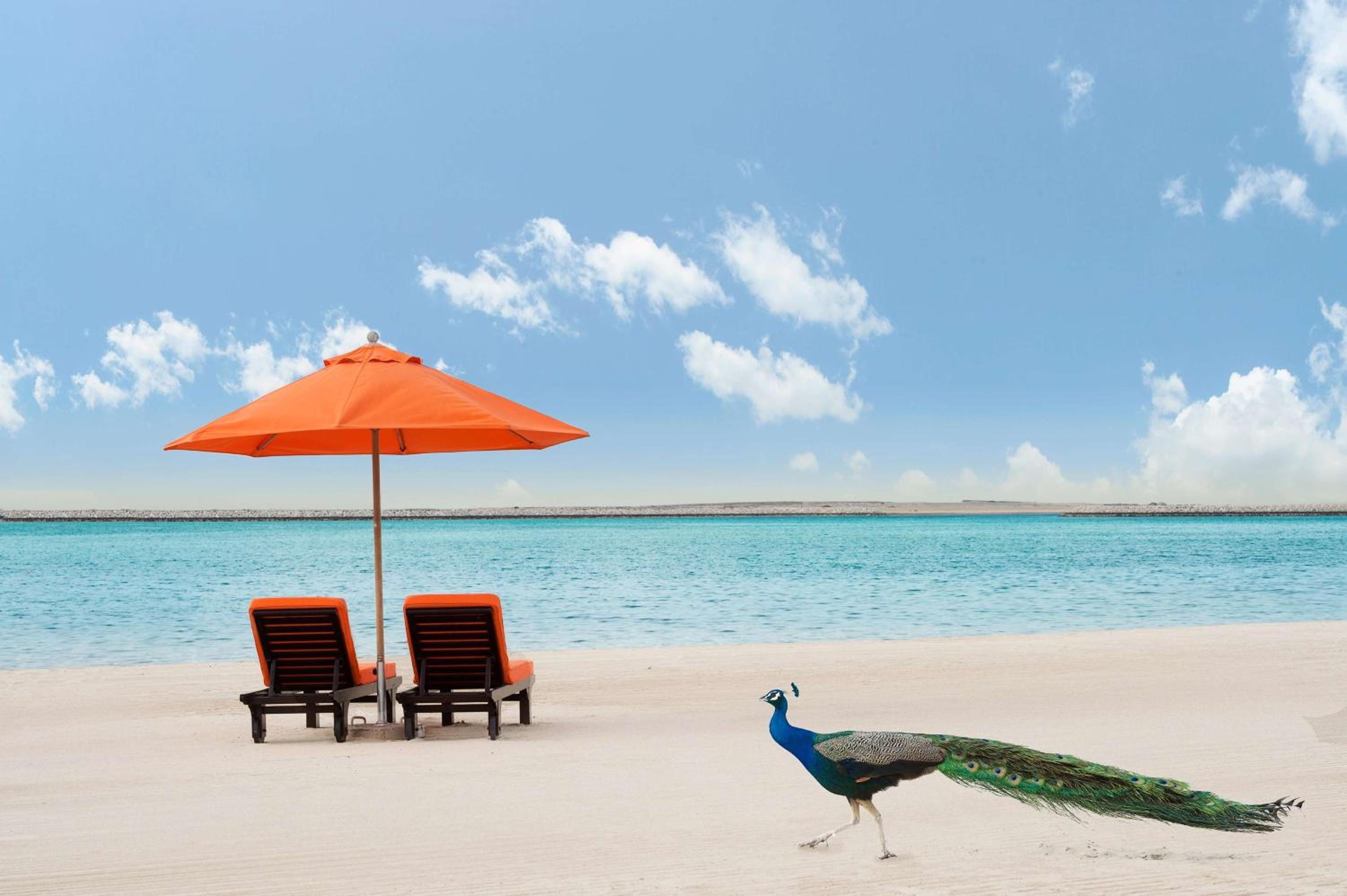 JA Beach Hotel, Dubai