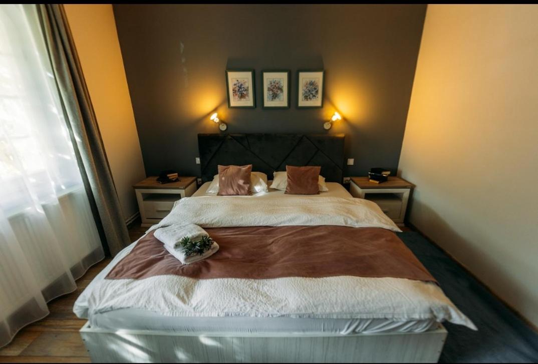 Magic Apartments Hunedoara view 3