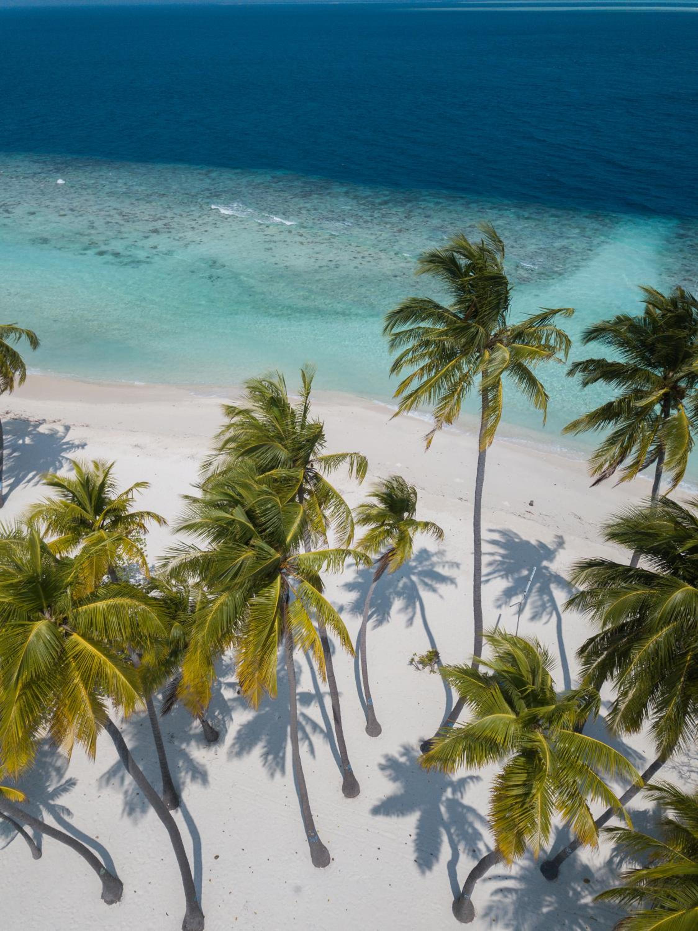 Baa Sand Maldives photo 2