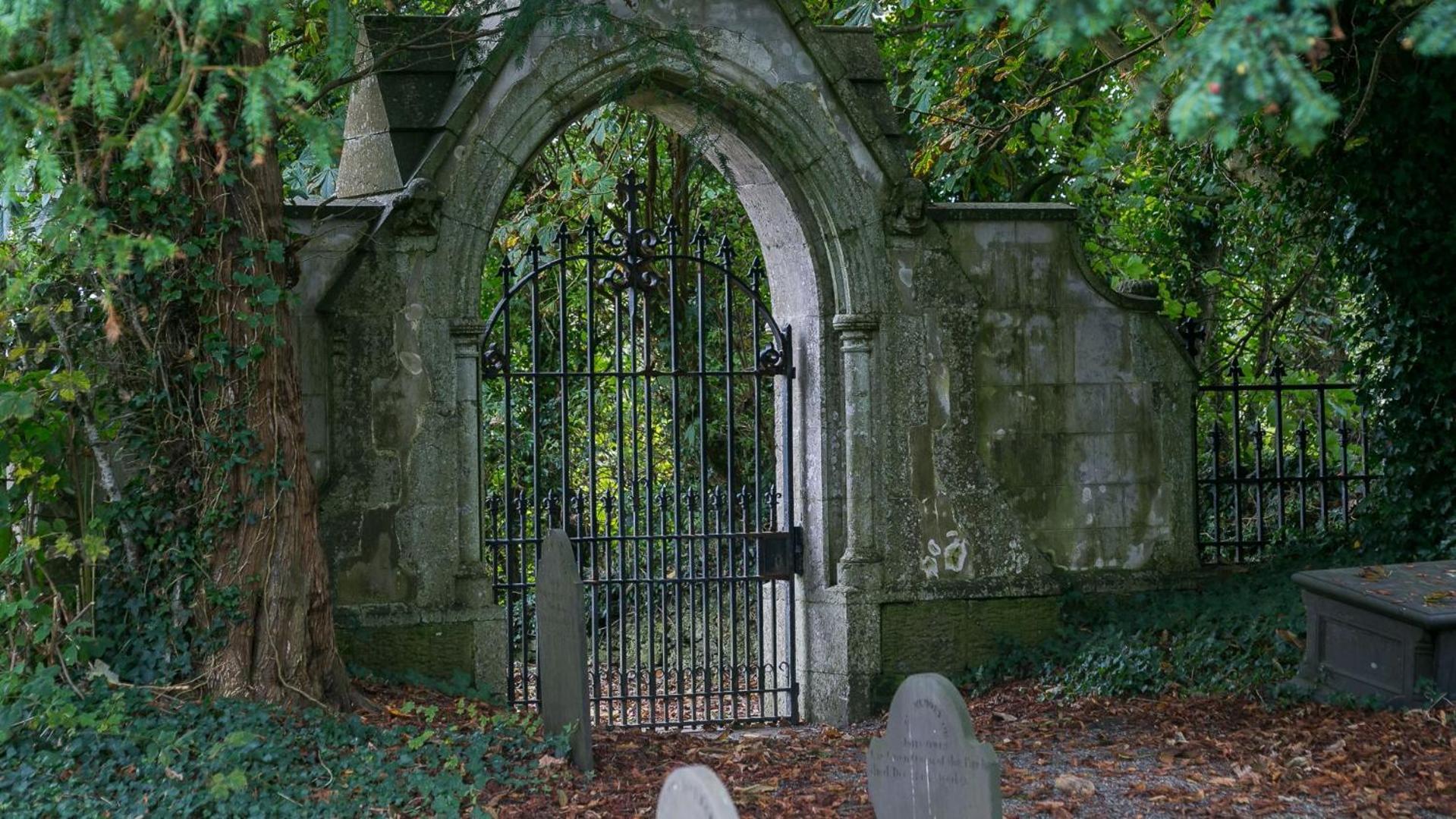 Ty Cadwgan