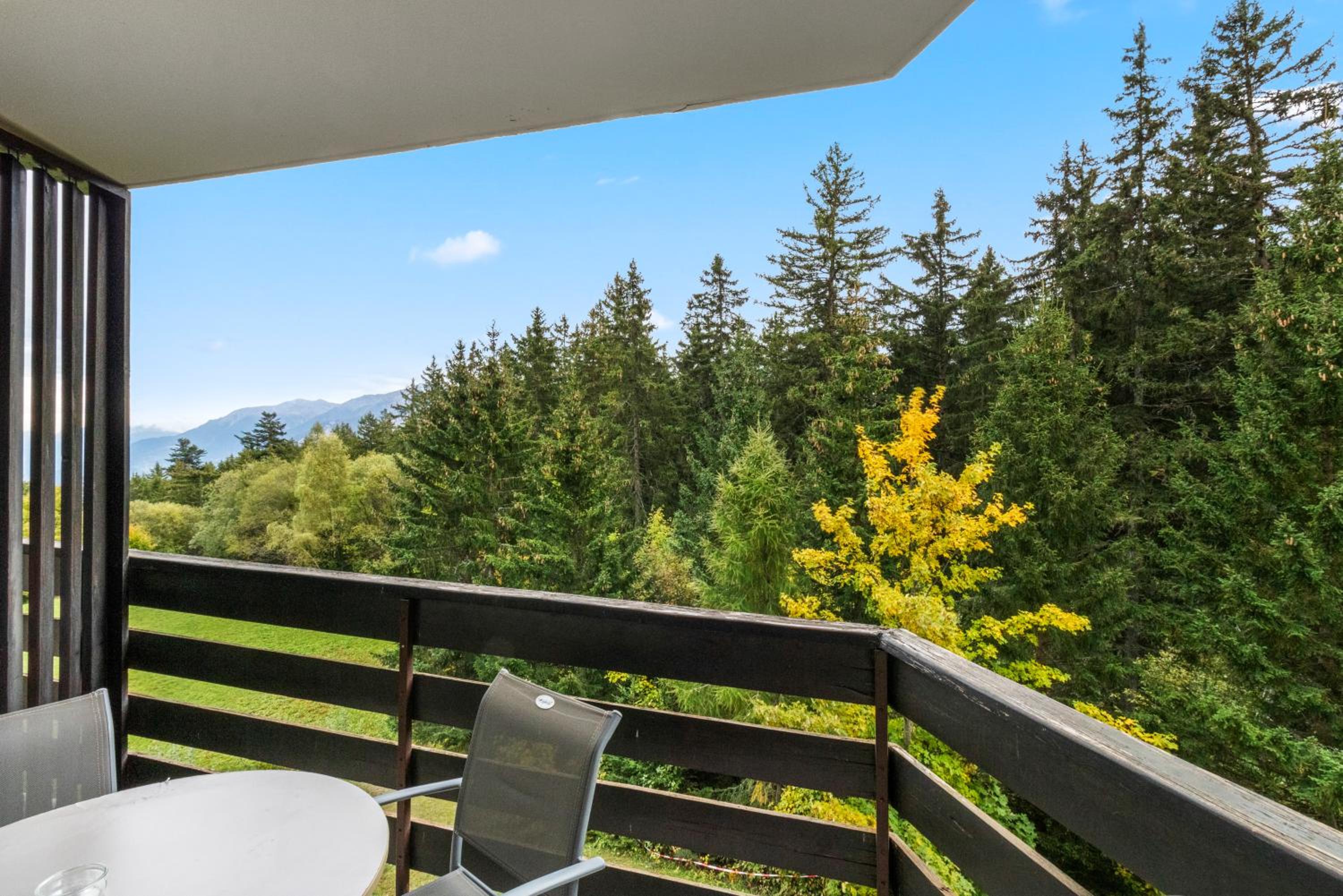 Chaleureux studio avec vue sur les montagnes