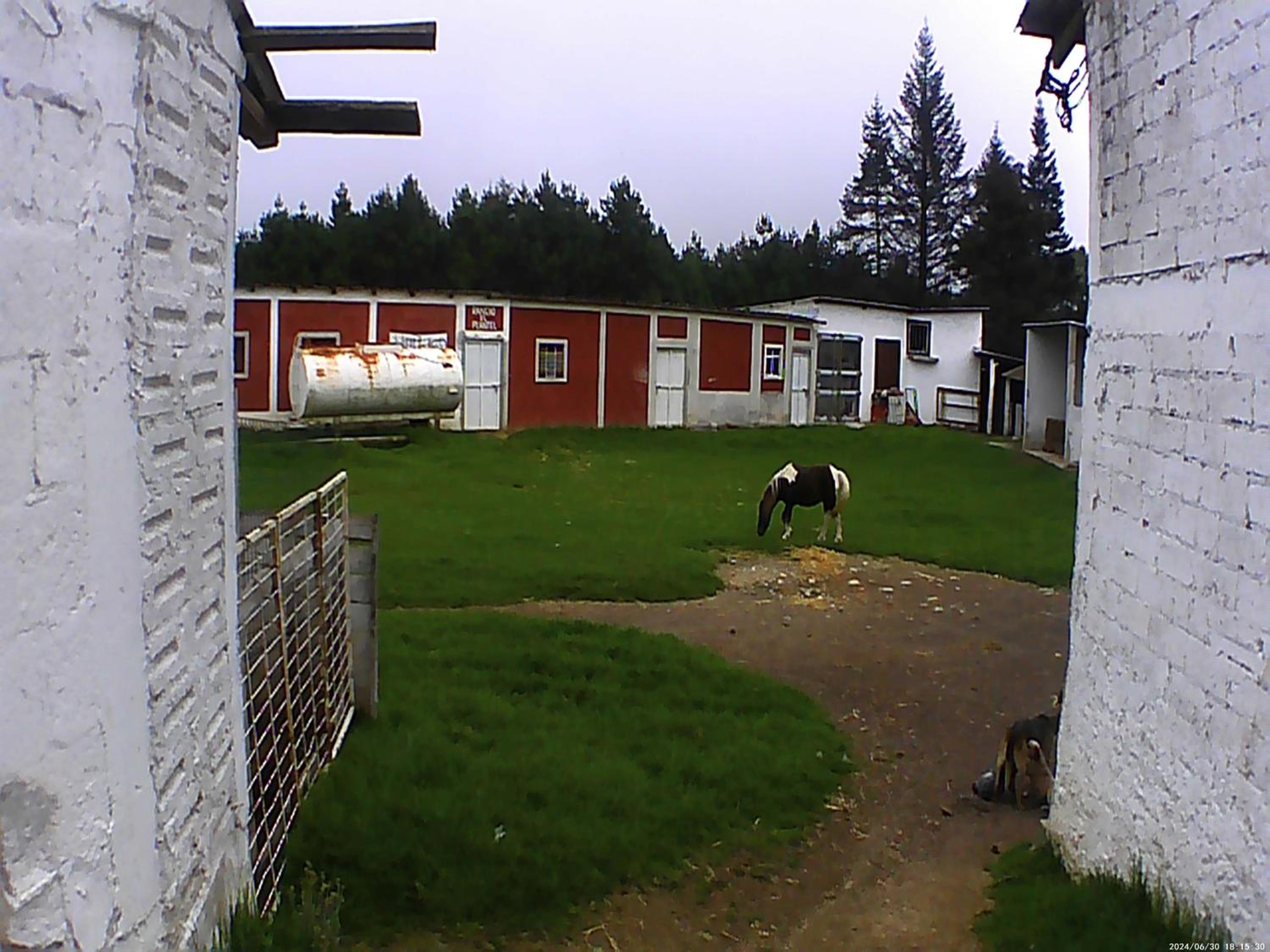 Photo 31