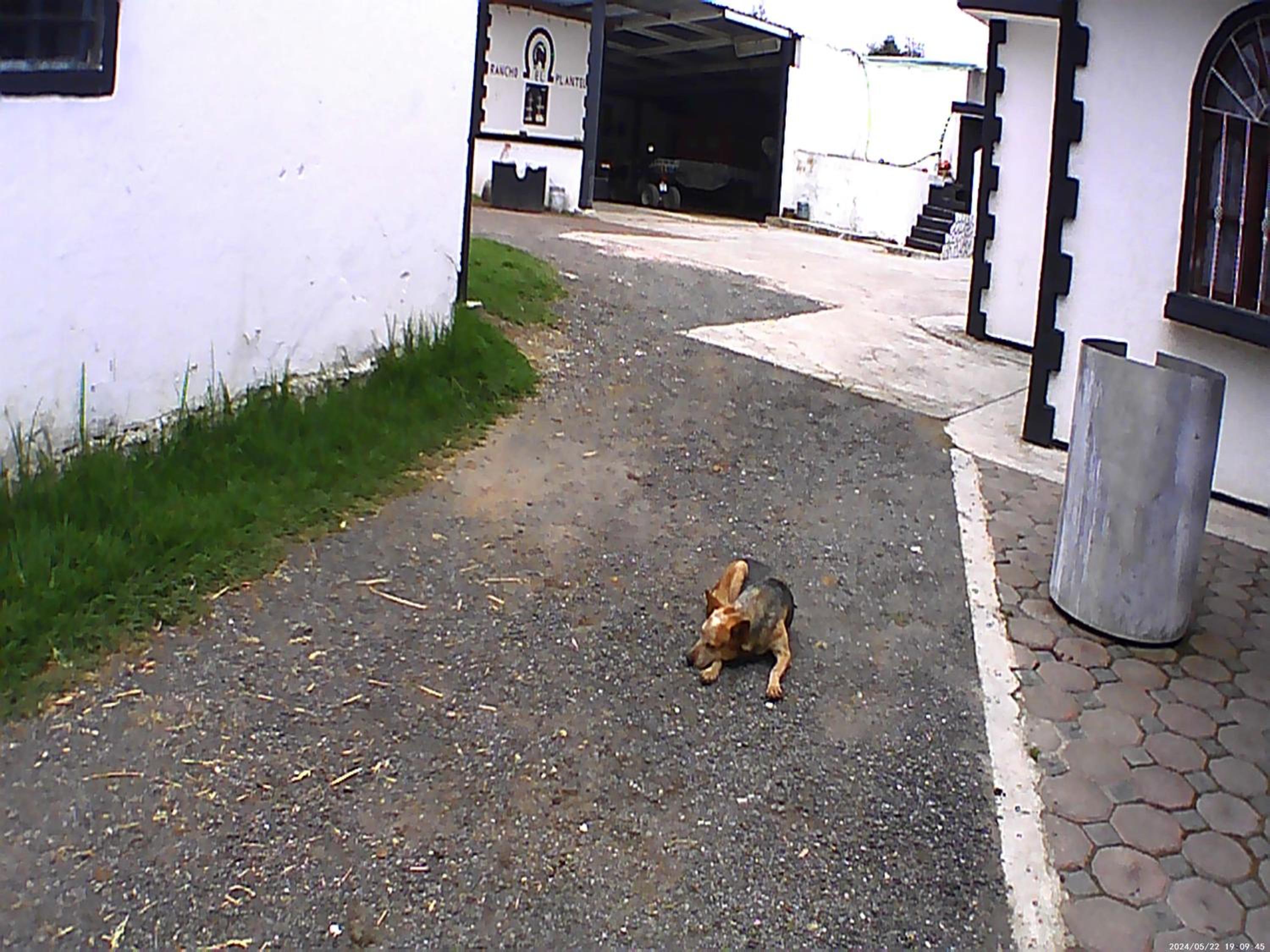 Photo 37