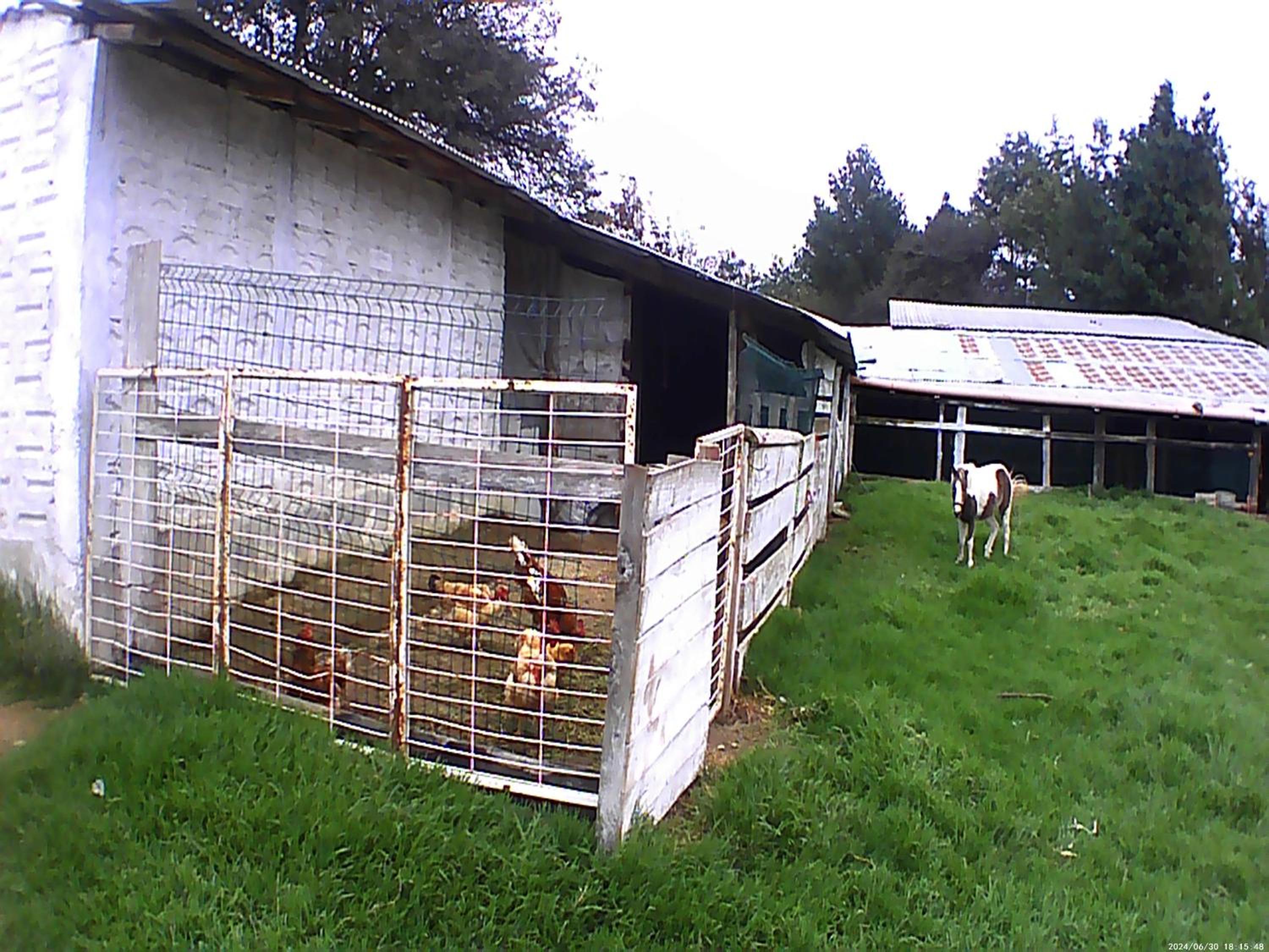 Photo 25