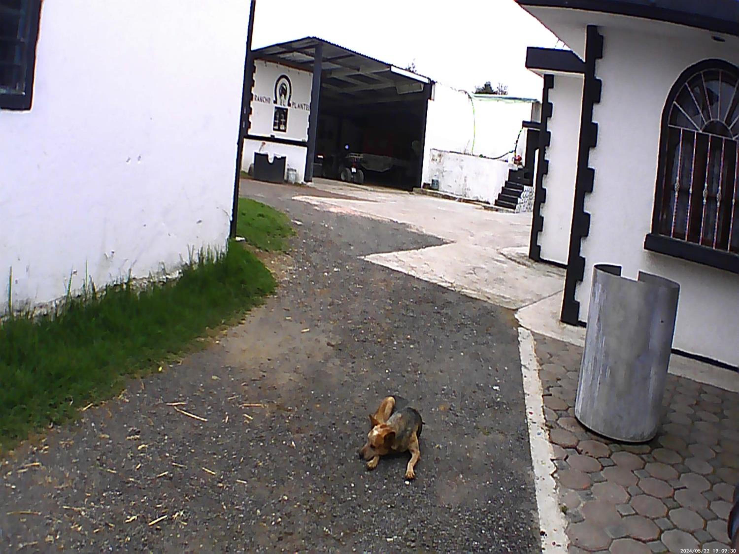 Photo 15