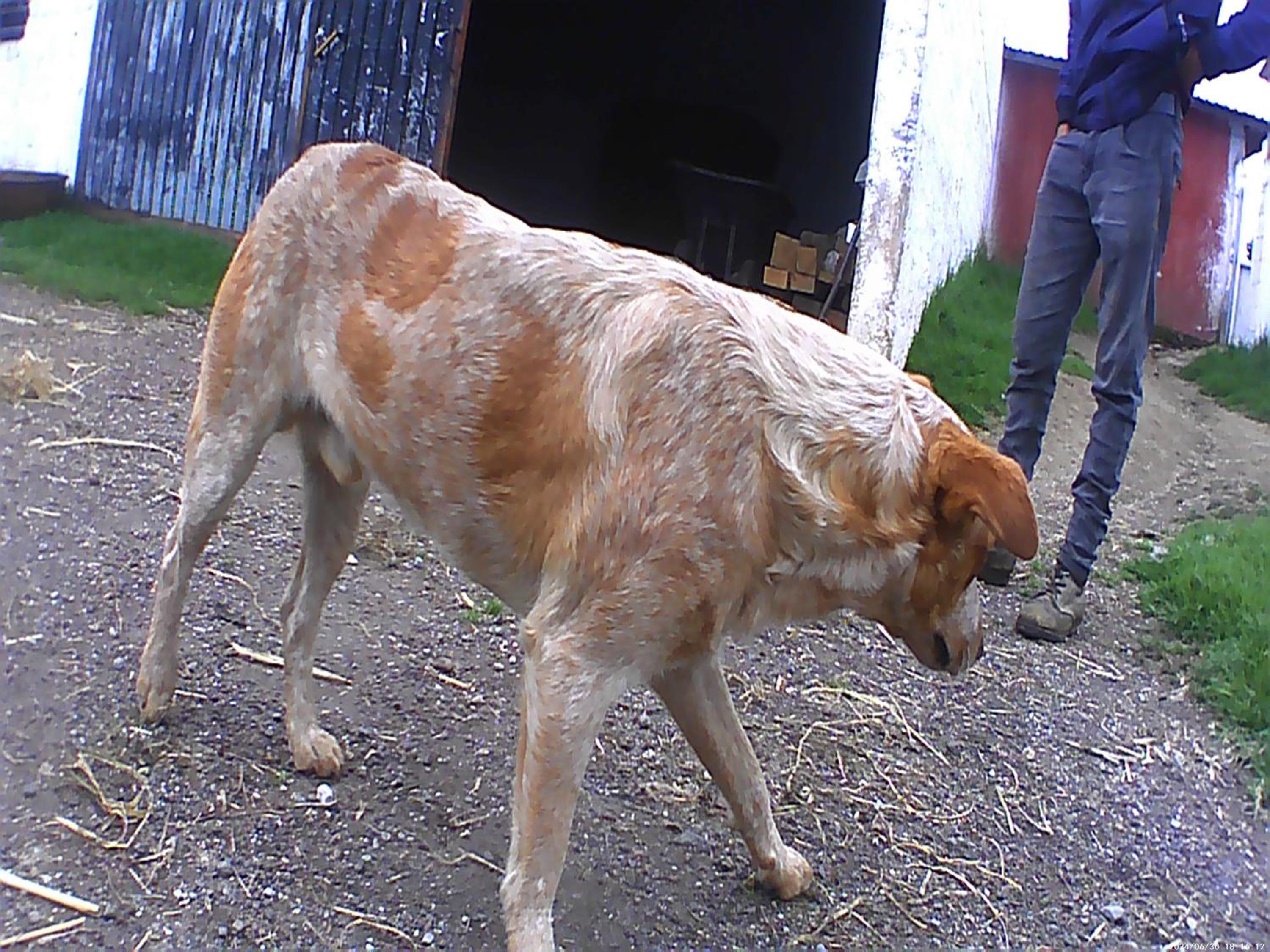 Photo 22