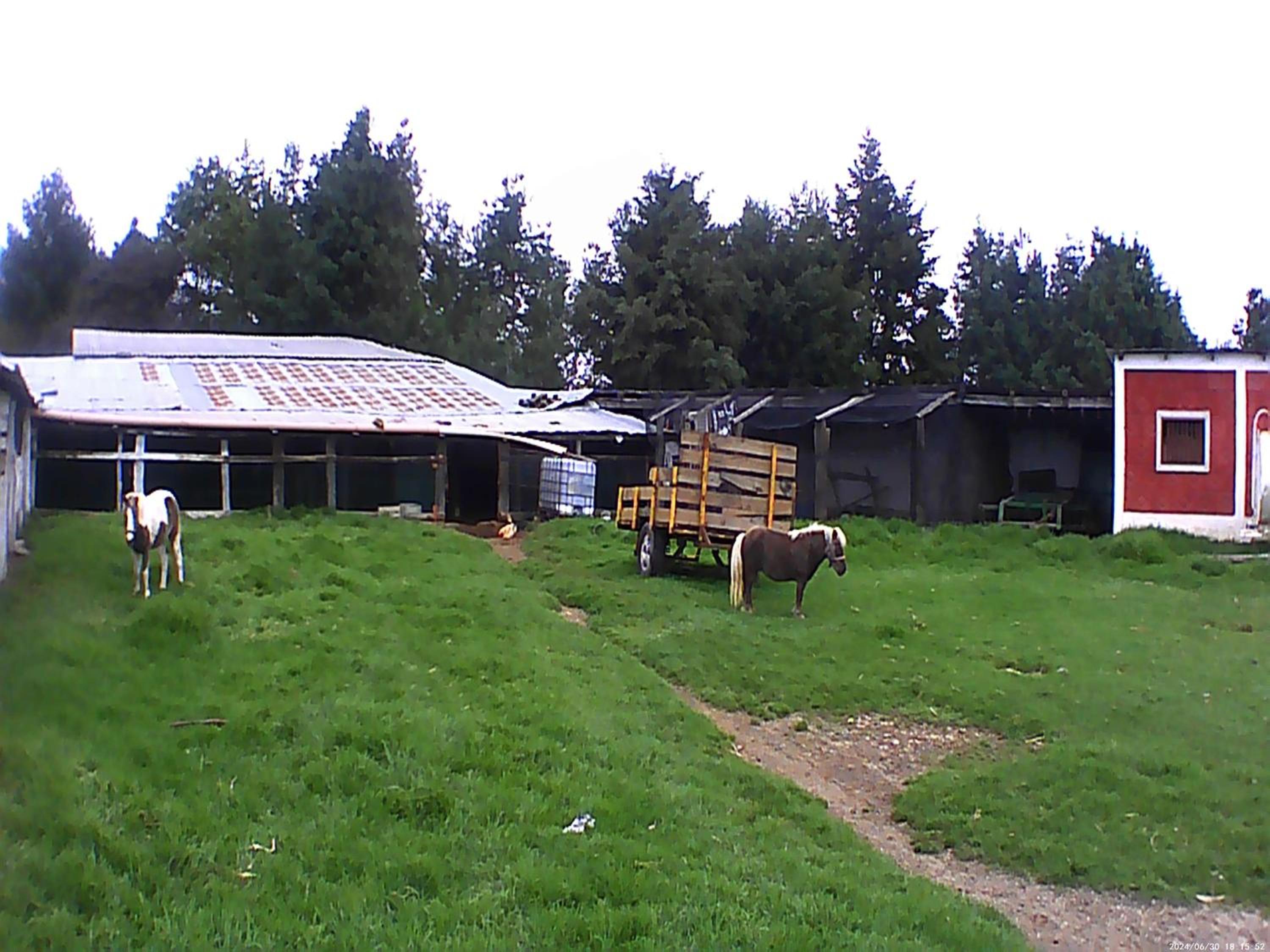 Photo 23