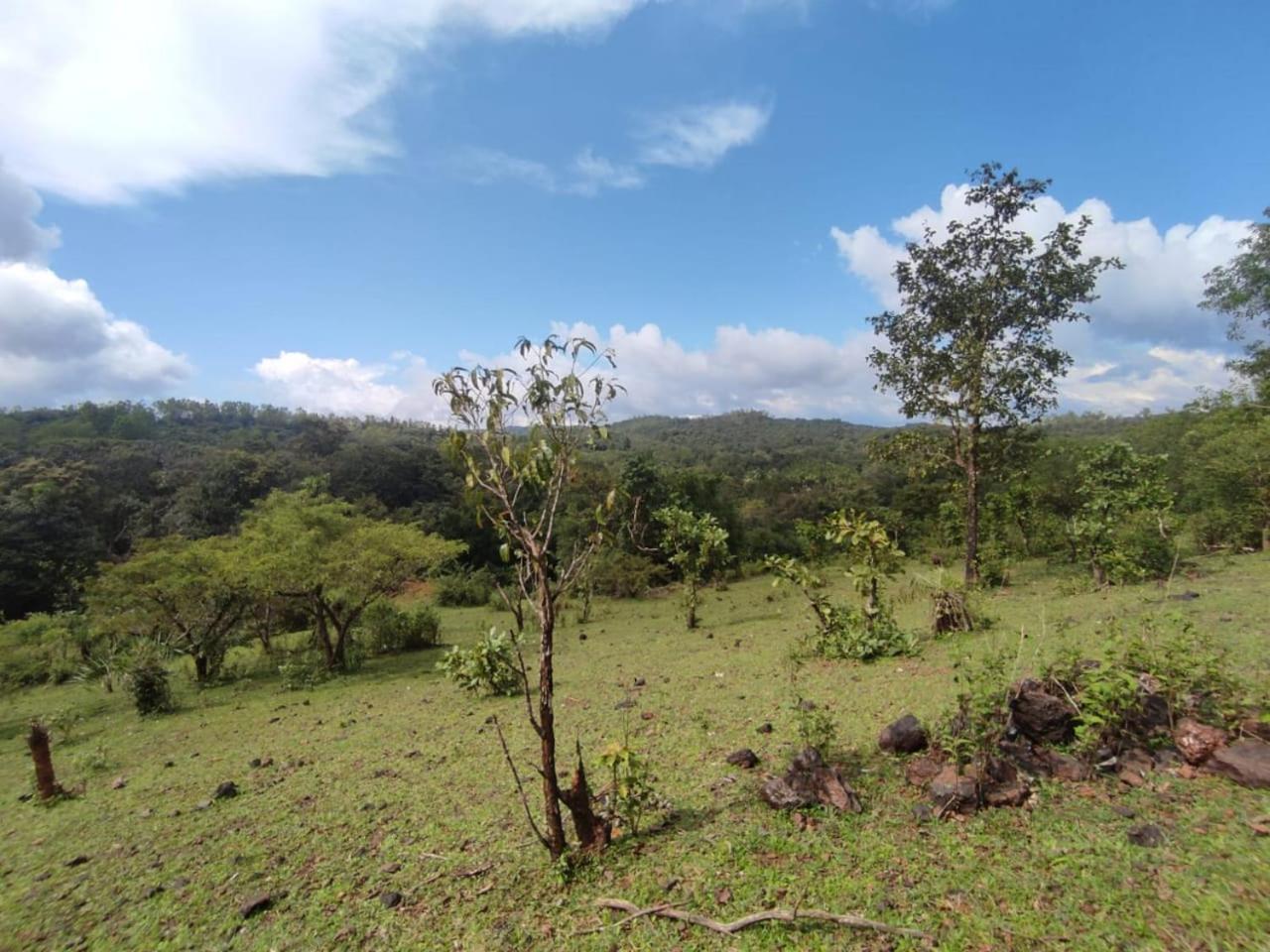 Gubbikanta Homestay