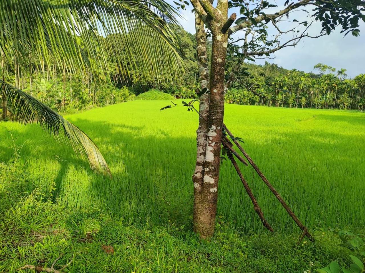 Gubbikanta Homestay
