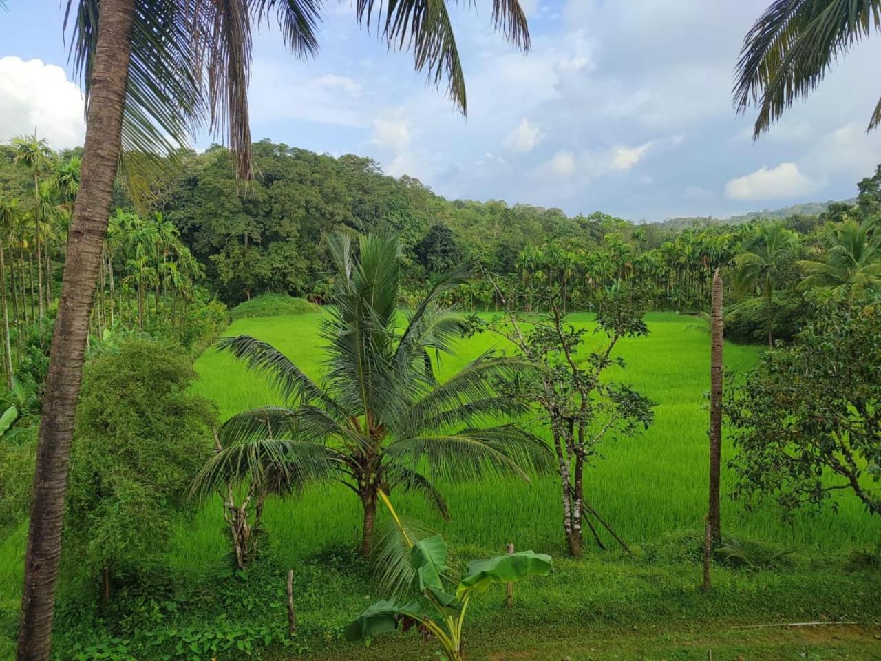 Gubbikanta Homestay