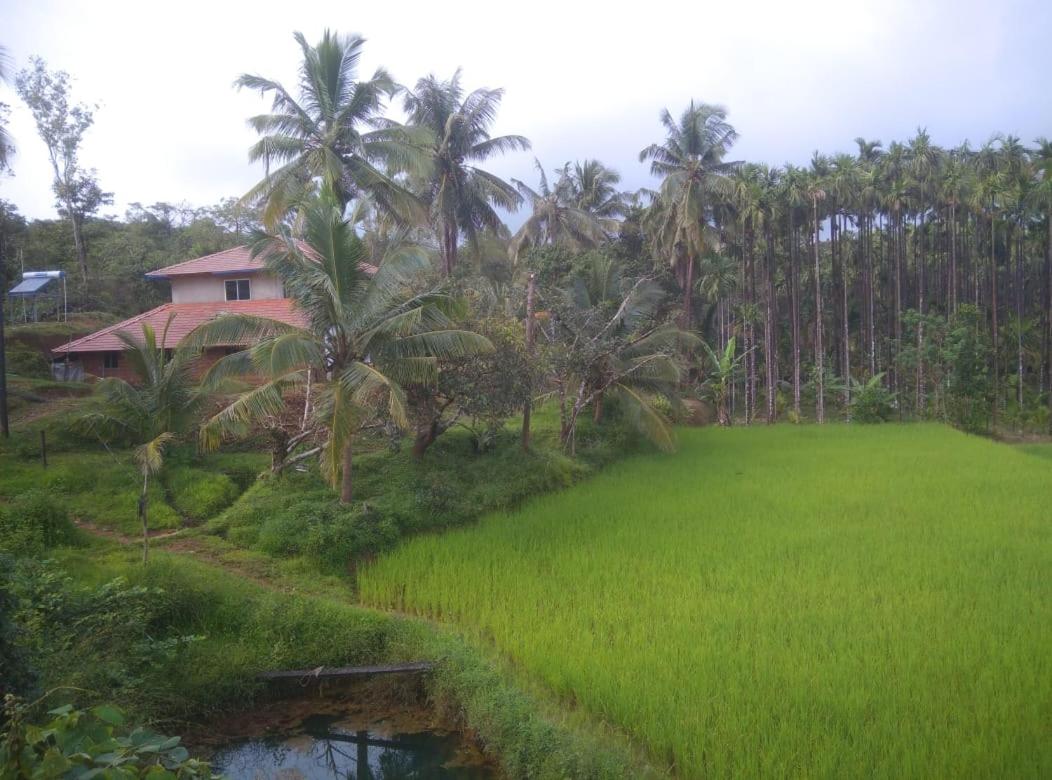 Gubbikanta Homestay