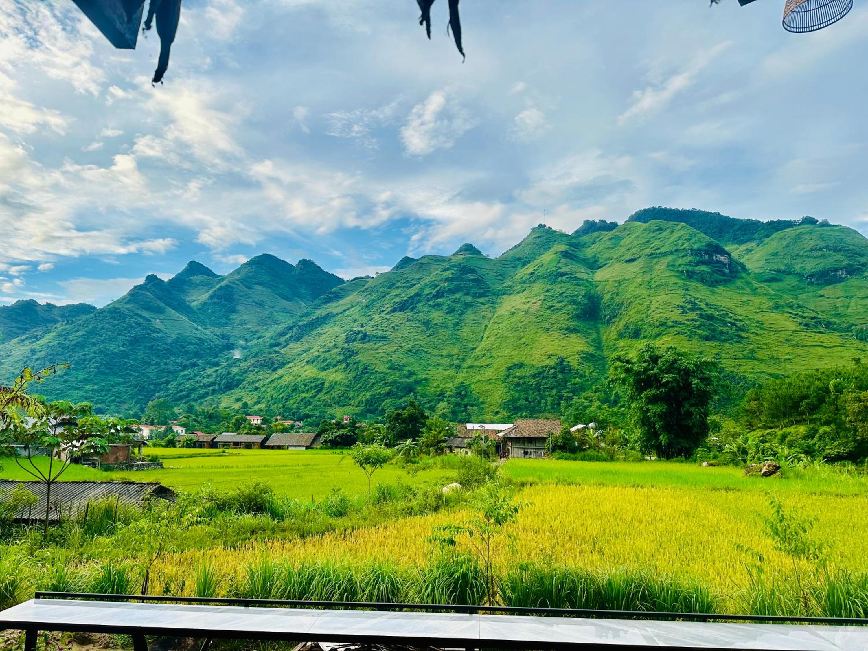 Du Gia Field View Homestay