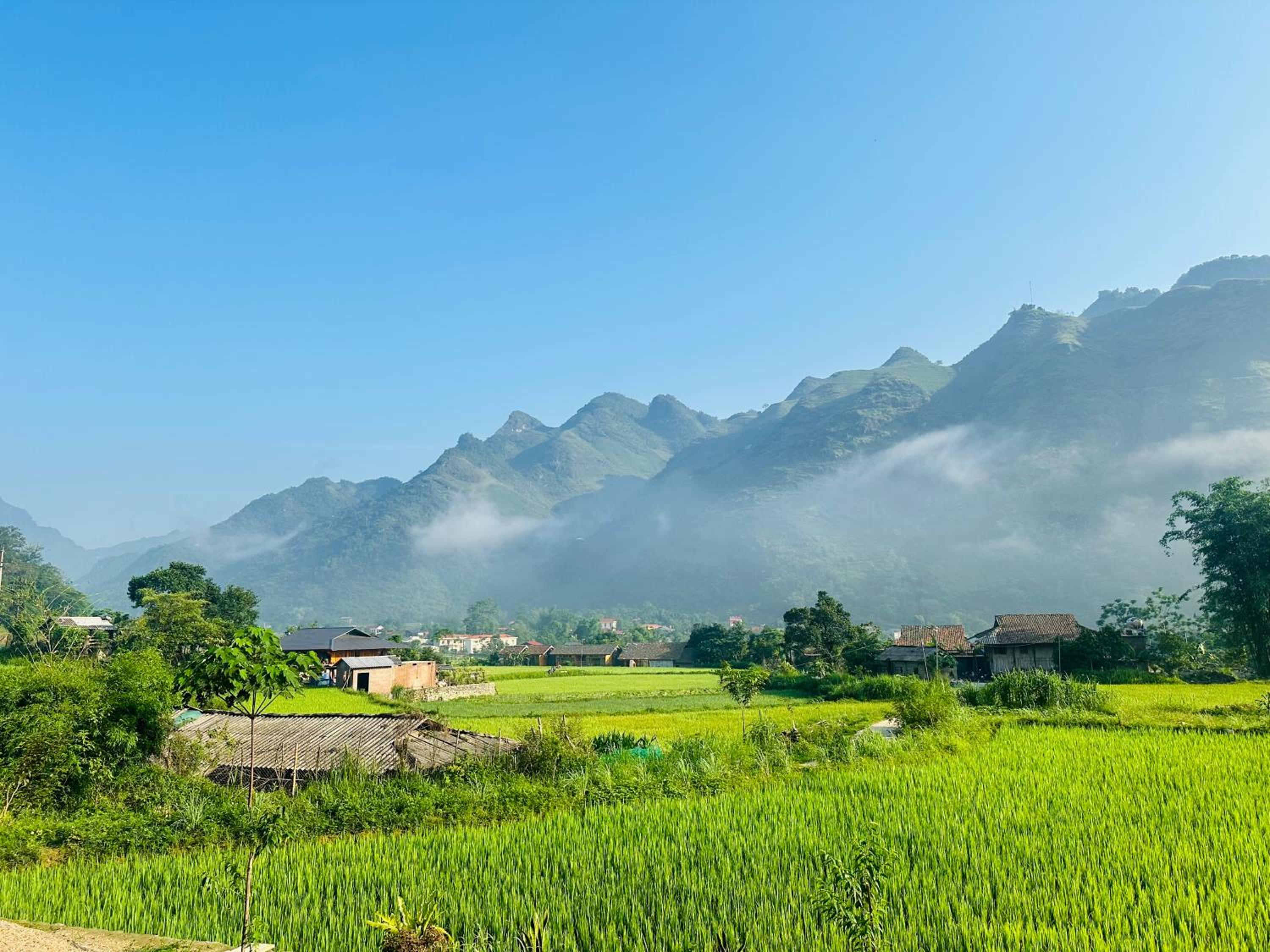 Du Gia Field View Homestay