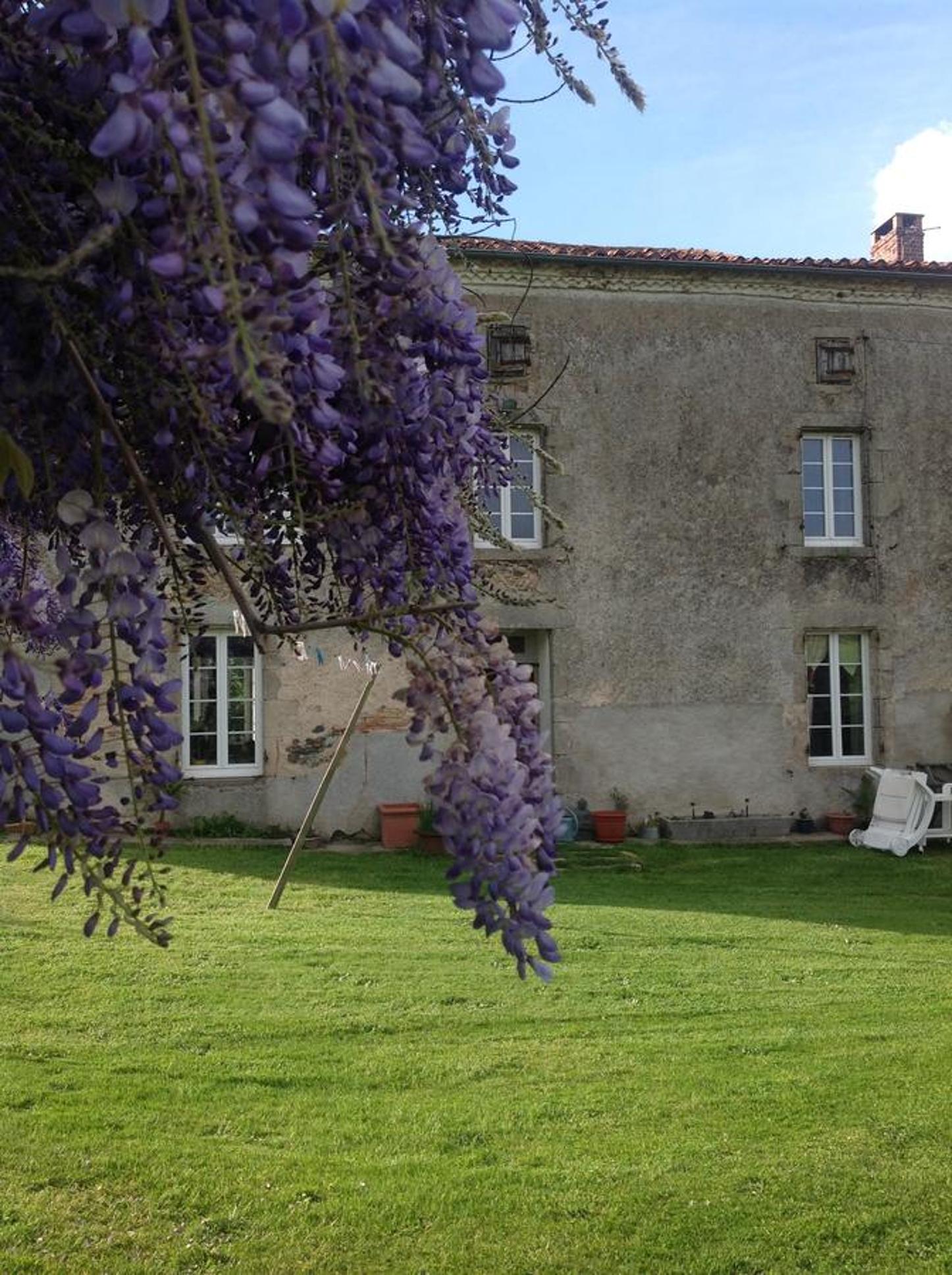 Wisteria House