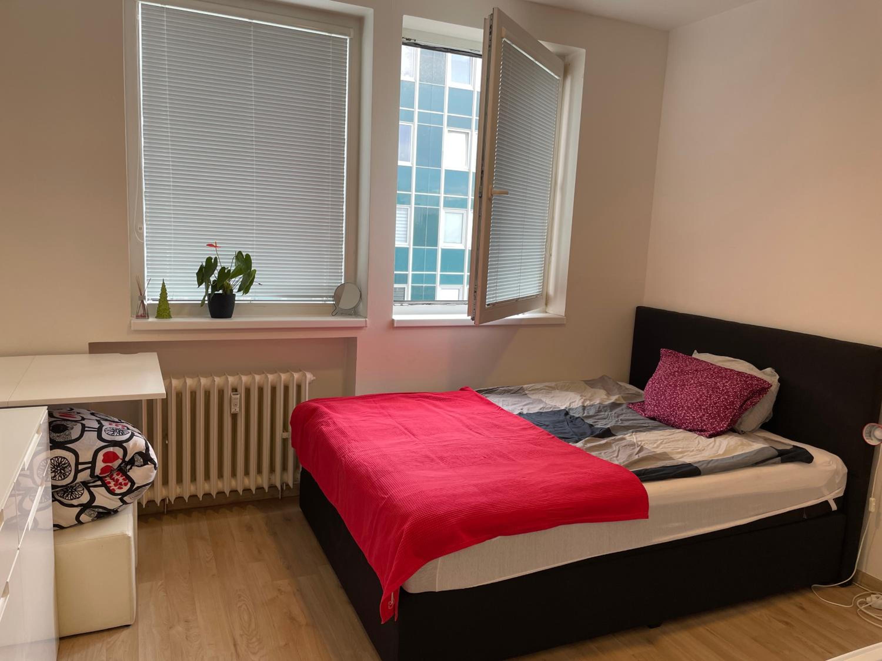 Friendly small flat for nomads