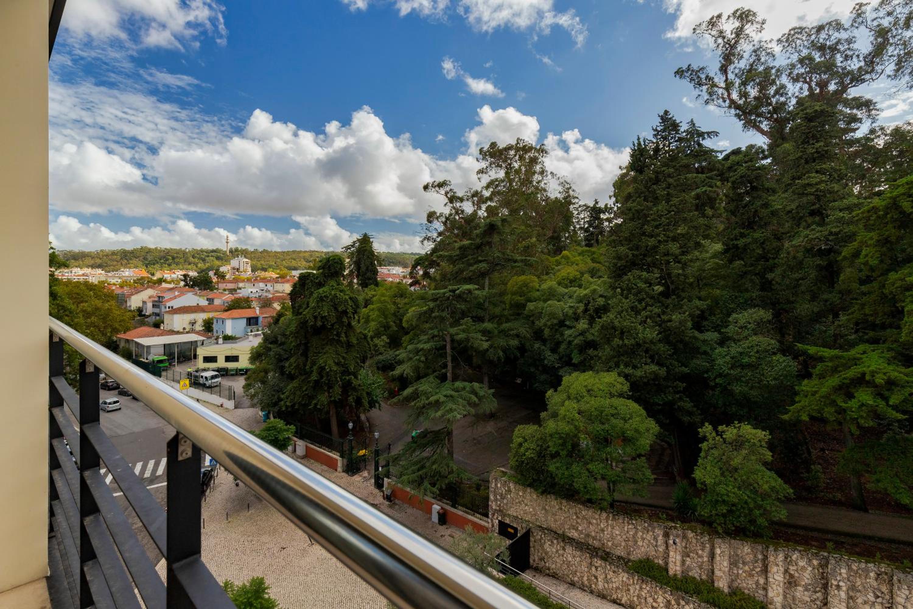 Grão Vasco