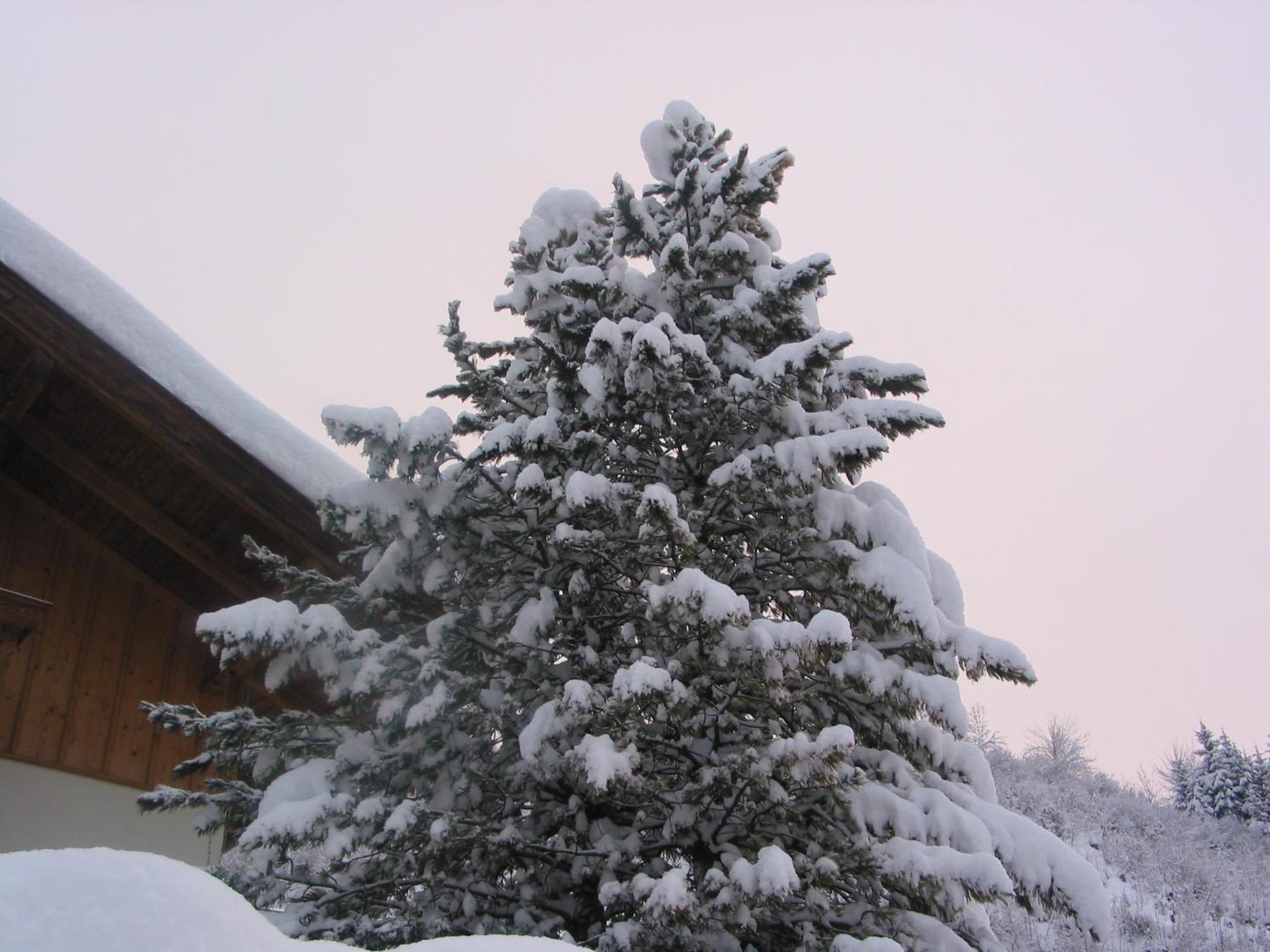 Haus Bergland