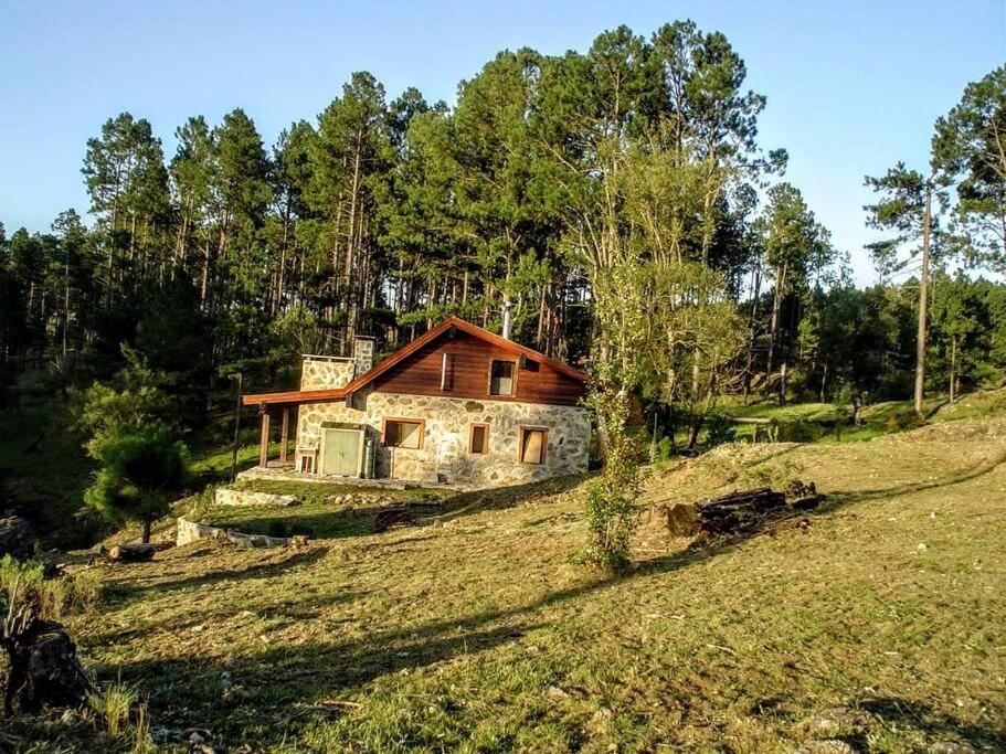 Cabaña villa alpina Mantillo de bosque