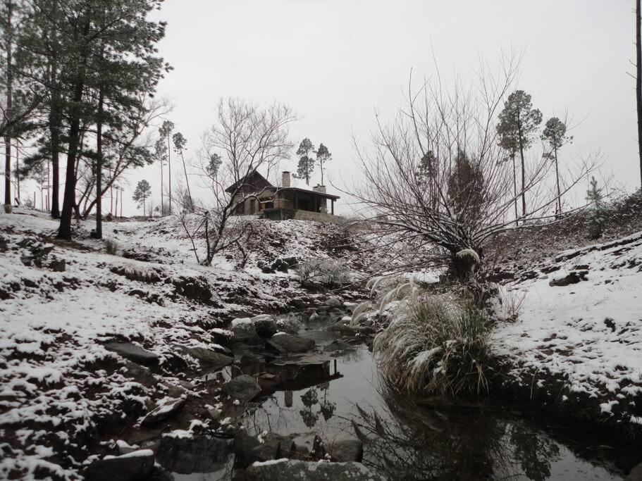 Cabaña villa alpina Mantillo de bosque