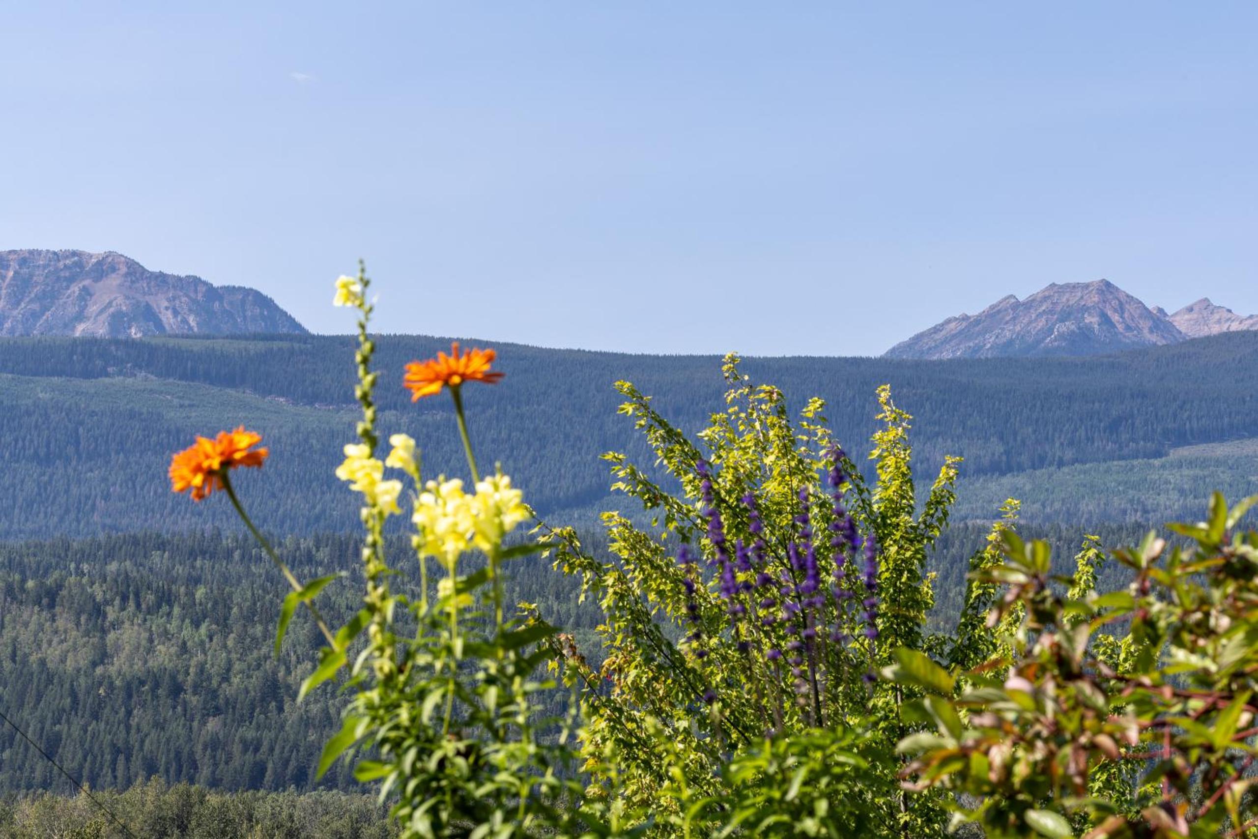 Golden Vacations - 2mins to Town, AC  Sauna, Self Check-in, Full Kitchen, Free Laundry  Parking, Family Pet Friendly, Comfortably Sleeps Up To 10 - Property Image 118