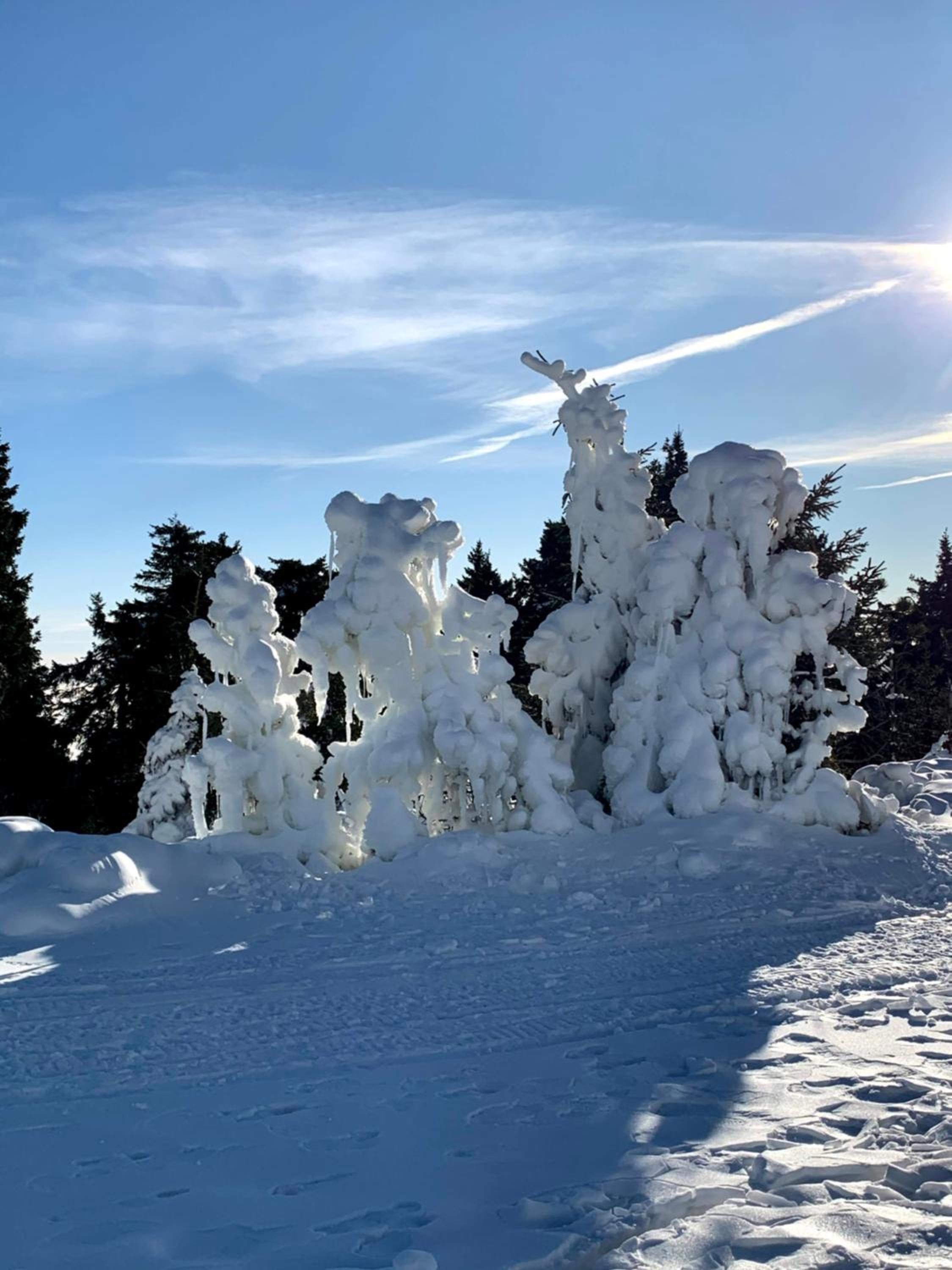 Ski Apartmán Salomon