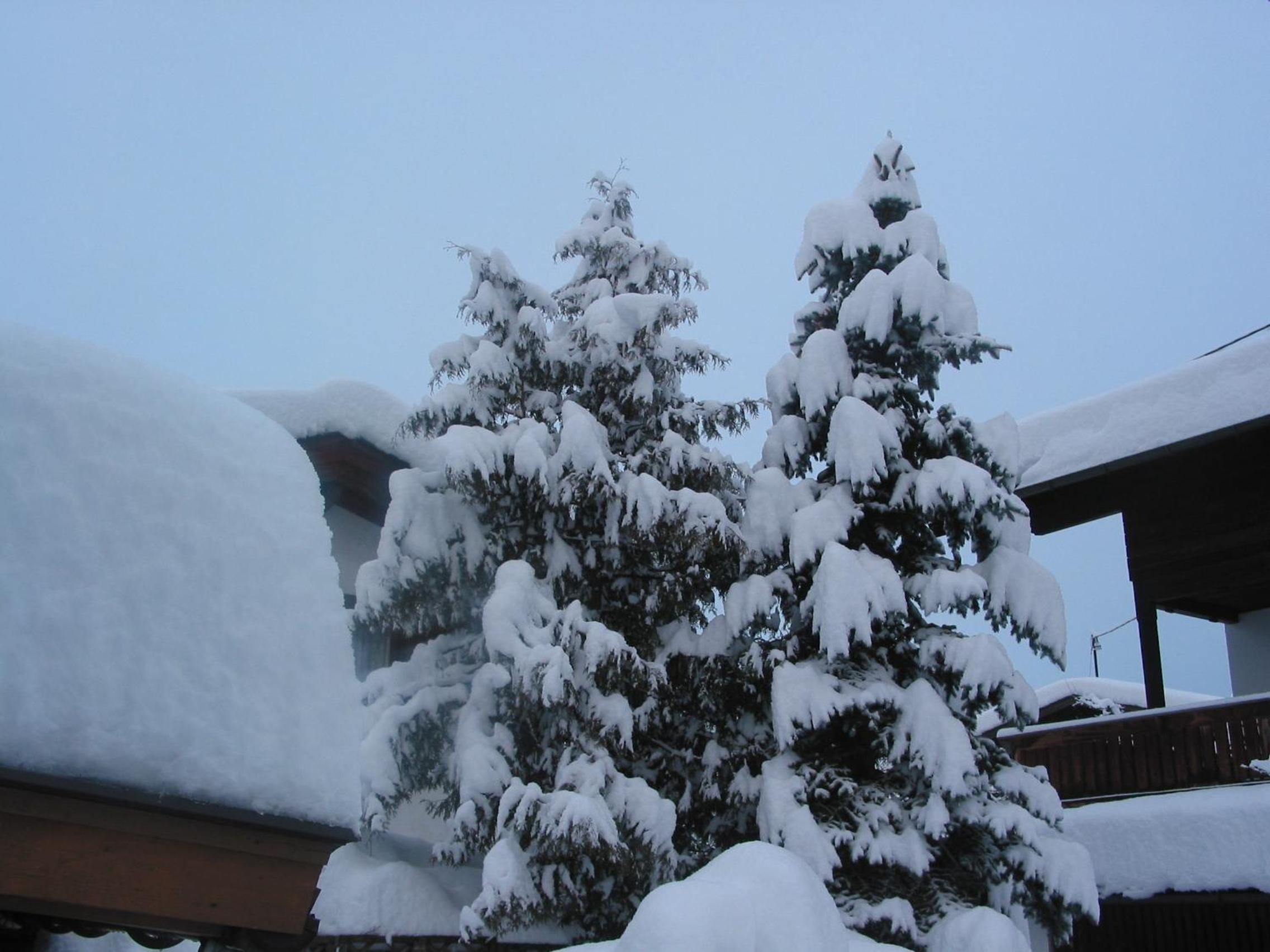 Haus Bergland
