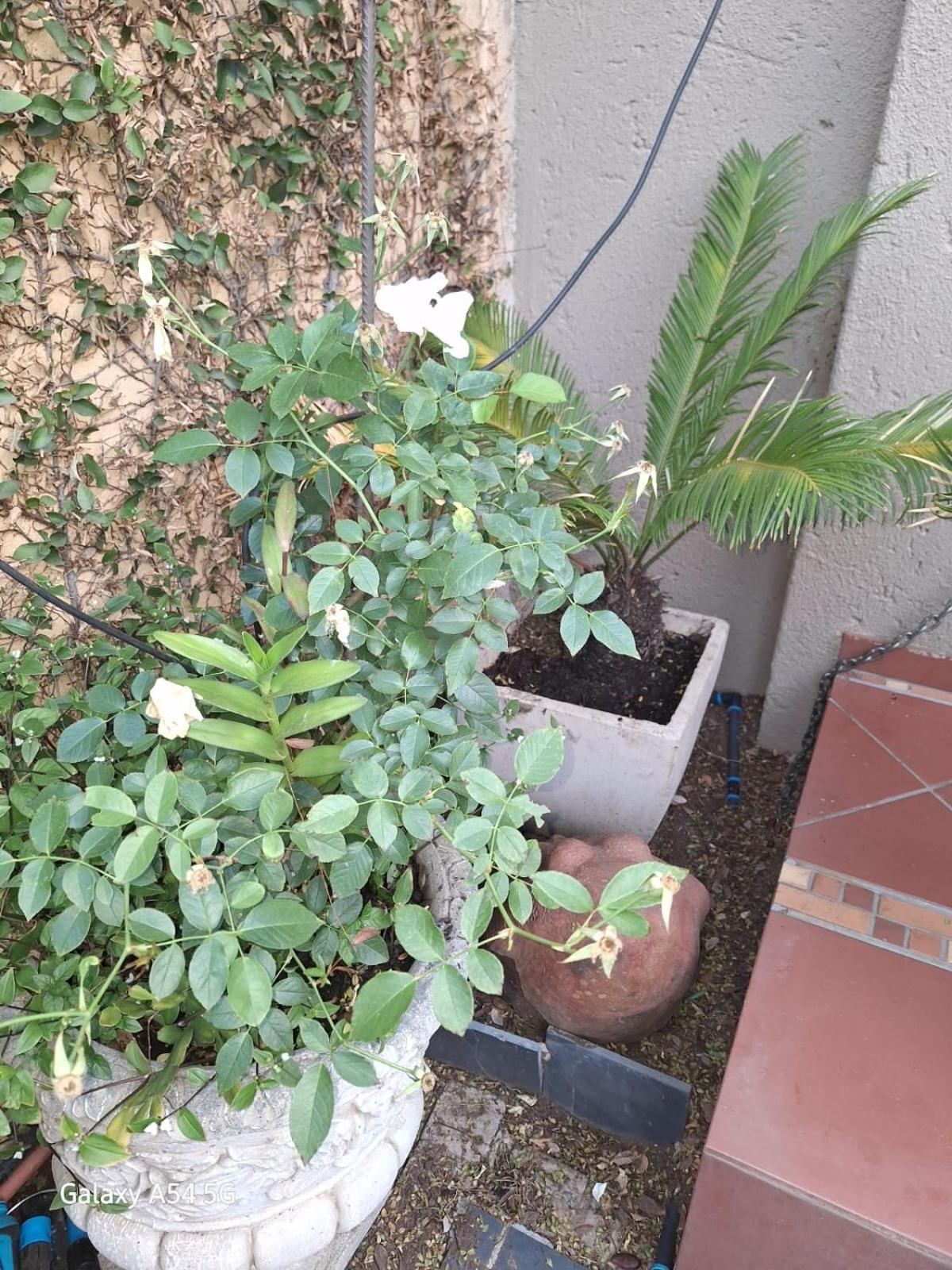 Photo 48